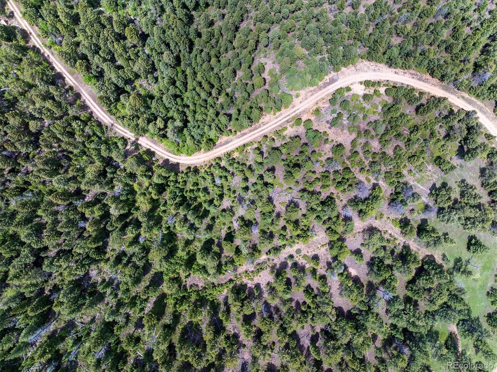 1259 Chute Rd, Golden, CO 80403