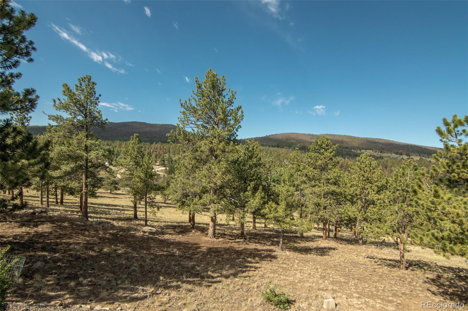 3296 Singletree Rd, Hartsel, CO 80449