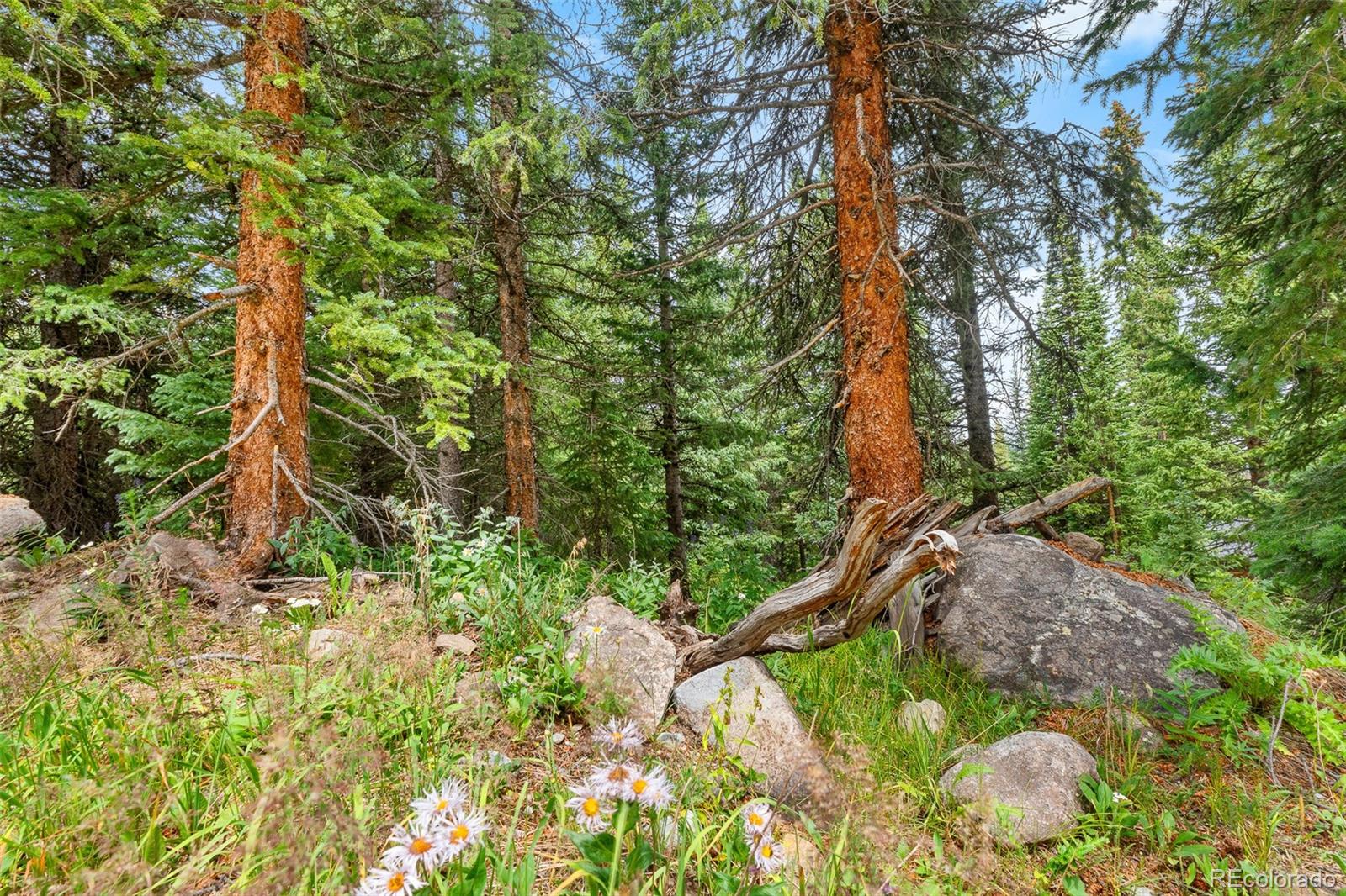 0057 County Road 675, Breckenridge, CO 80424