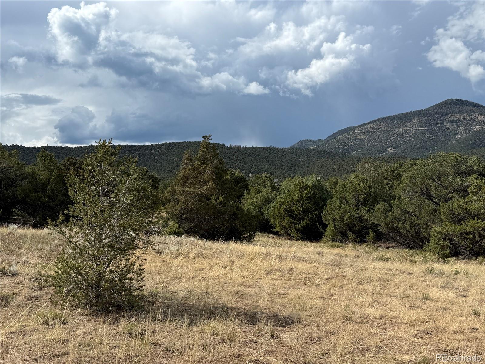 729 Vail Pass Rd, South Fork, CO 81154