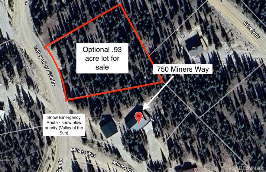 750 Miners Way, Fairplay, CO 80440