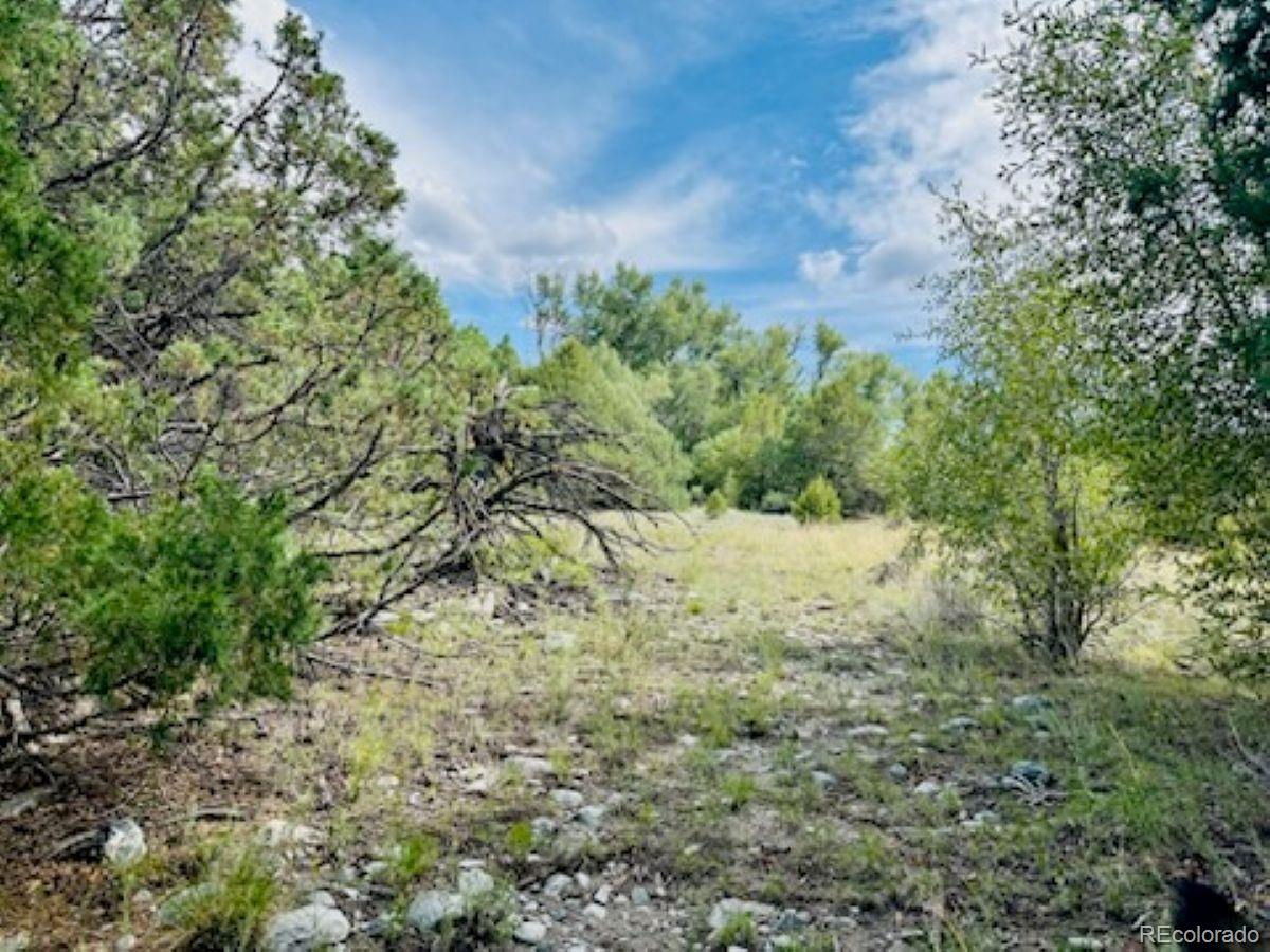 216 Colima Pl, Mosca, CO 81146