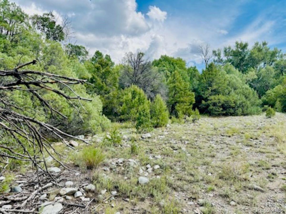 216 Colima Pl, Mosca, CO 81146