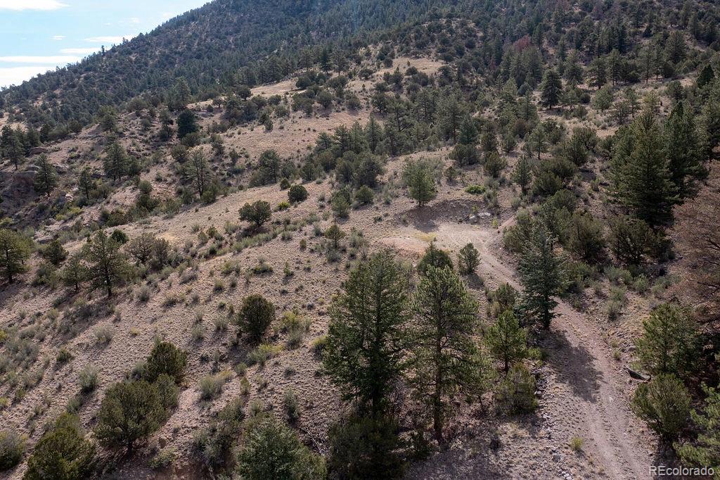 8707 Hwy 24/285, Buena Vista, CO 81211
