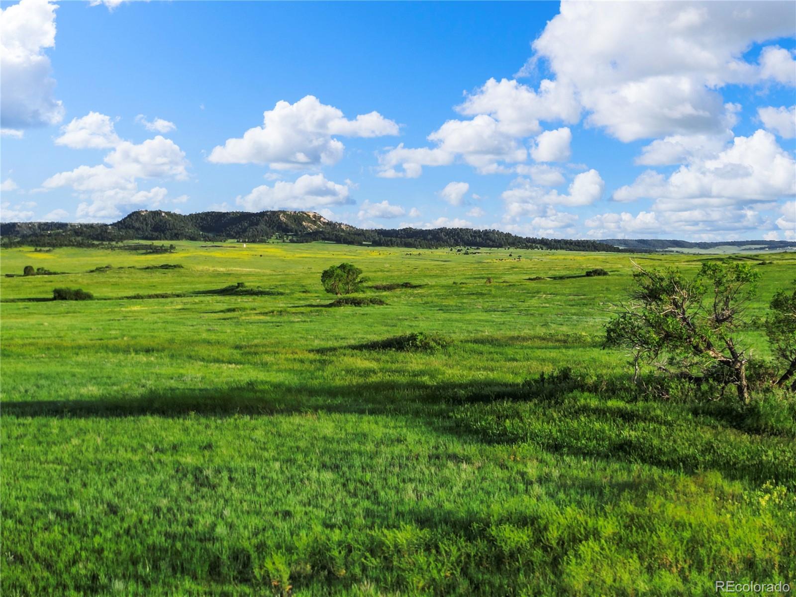 22 County Road 53, Elbert, CO 80106