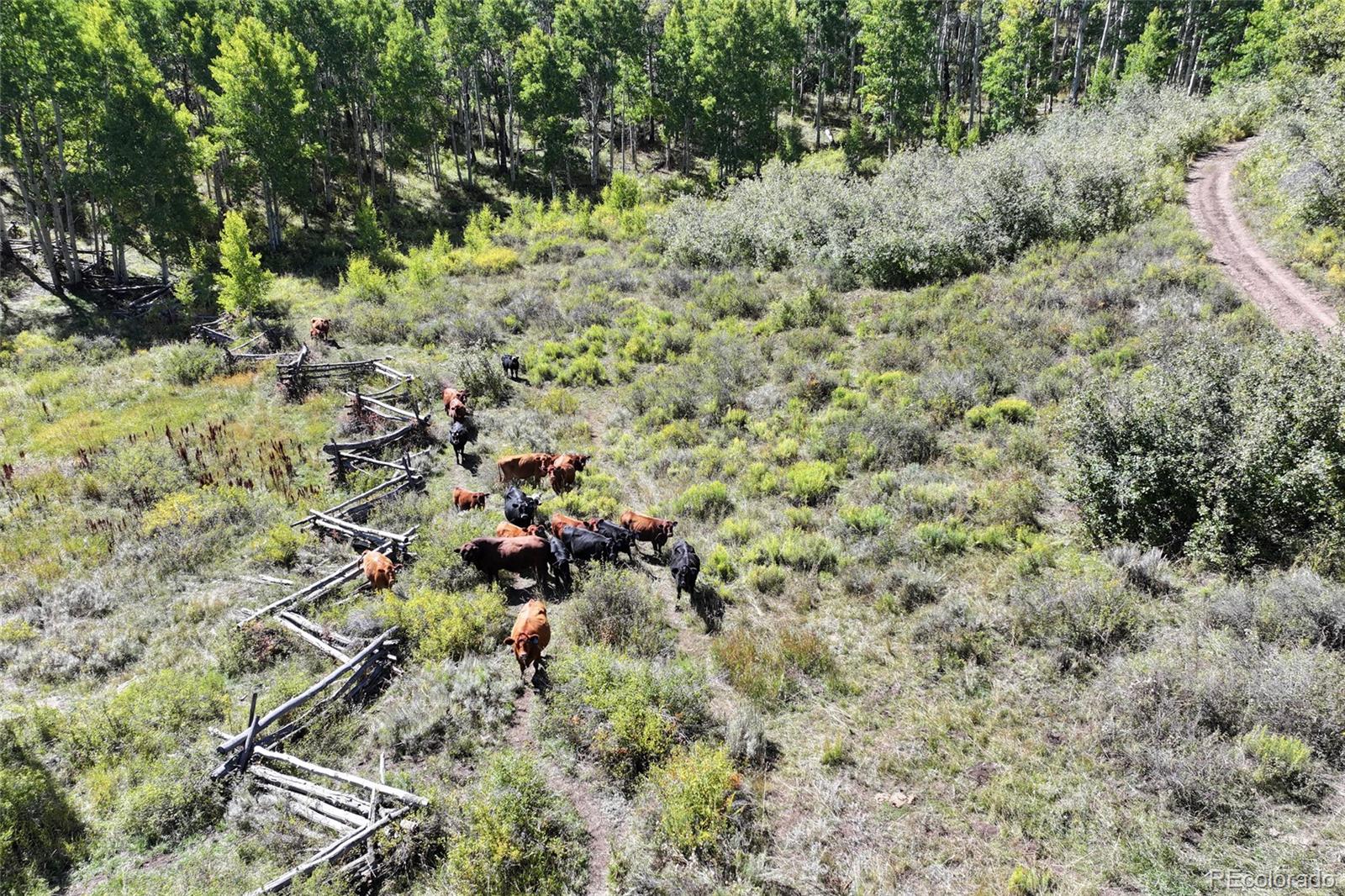 000 Divide Rd, Whitewater, CO 81527