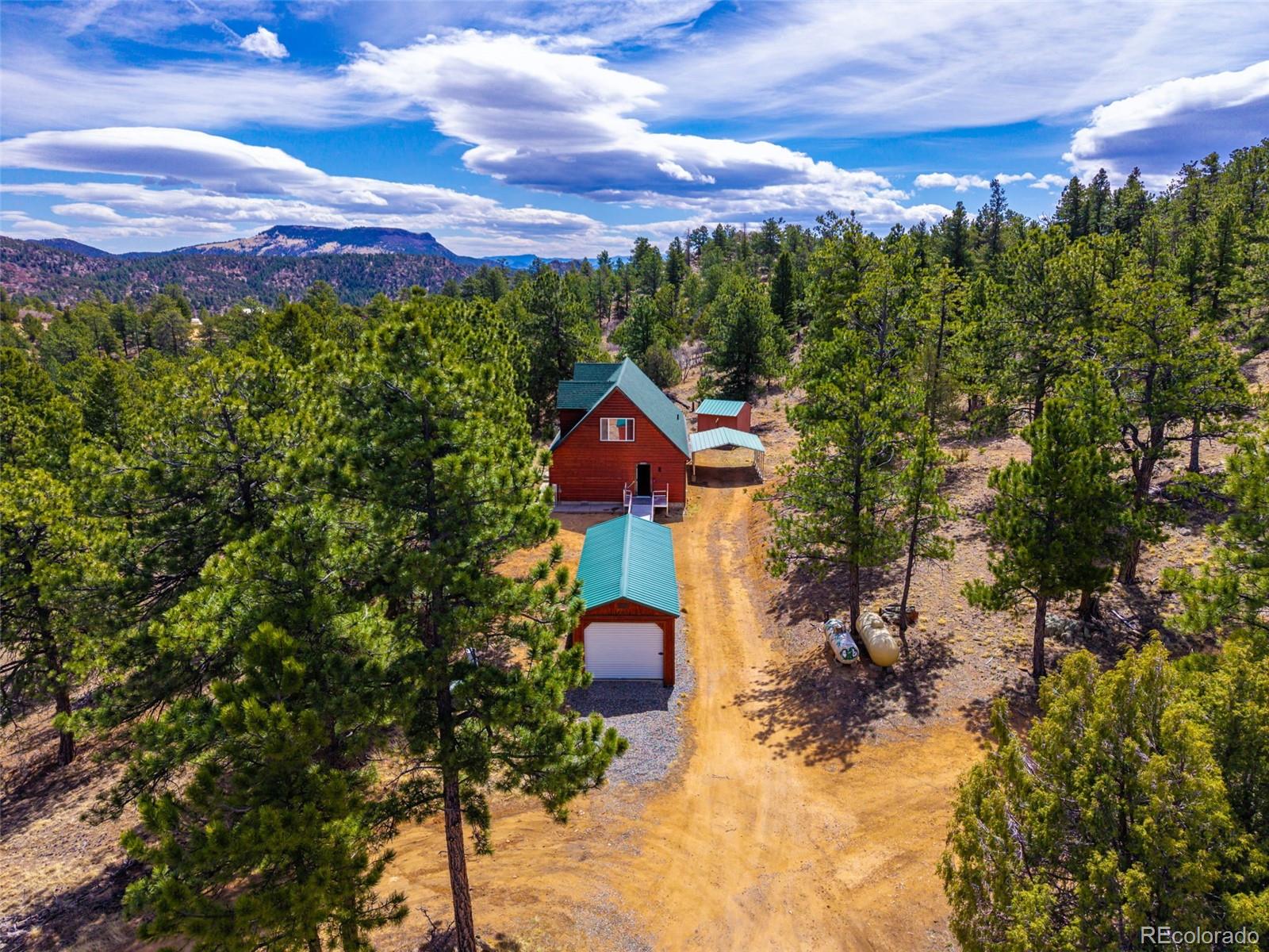 1136 Bird Point Dr, Cotopaxi, CO 81223