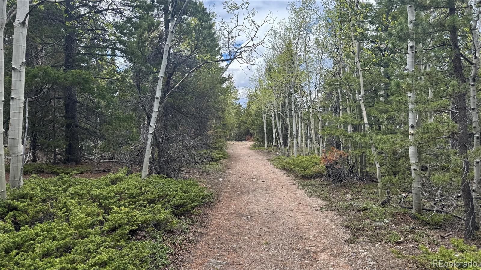 005 Roy Smith Rd, Central City, CO 80427