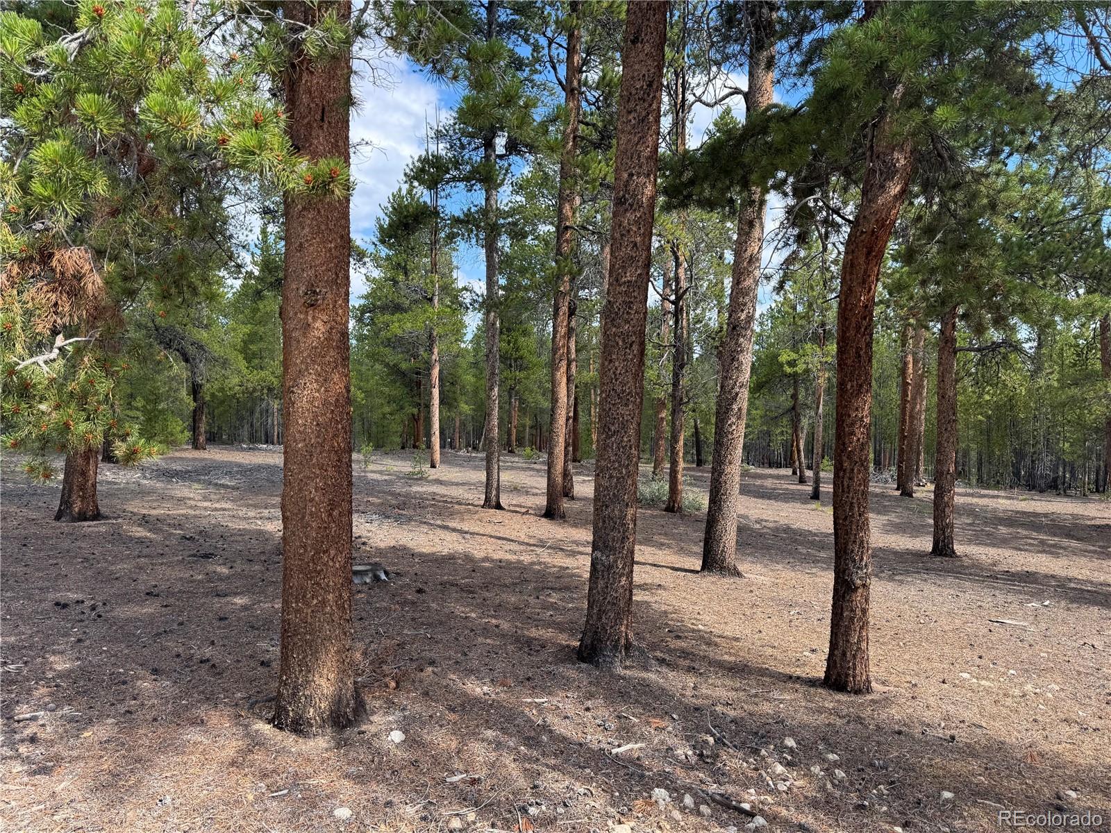 719 Peak View Dr Lot 352A, Twin Lakes, CO 81251