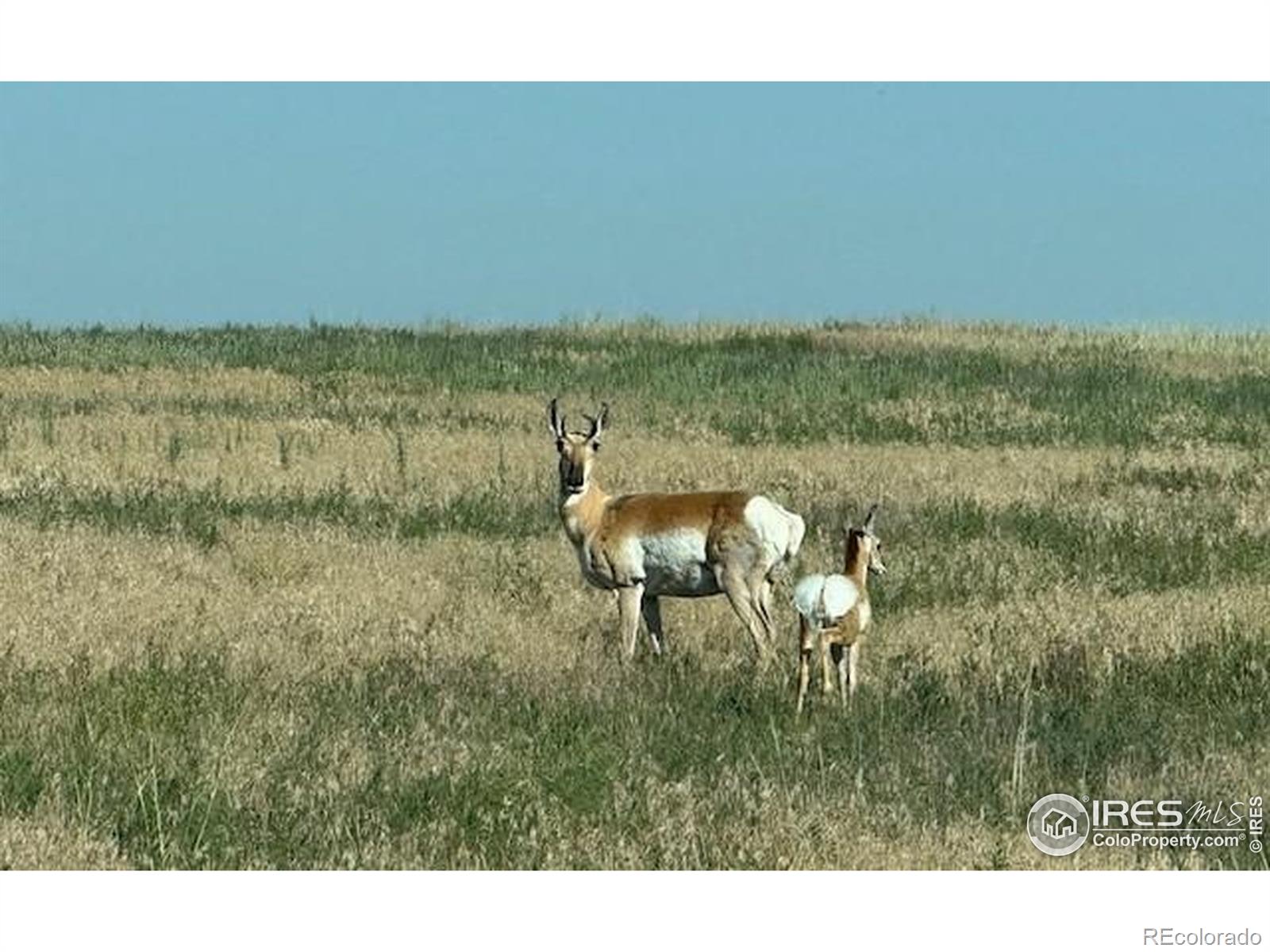 3 Tbd Lot B Ffd25 0006 Wcr 15, Carr, CO 80612