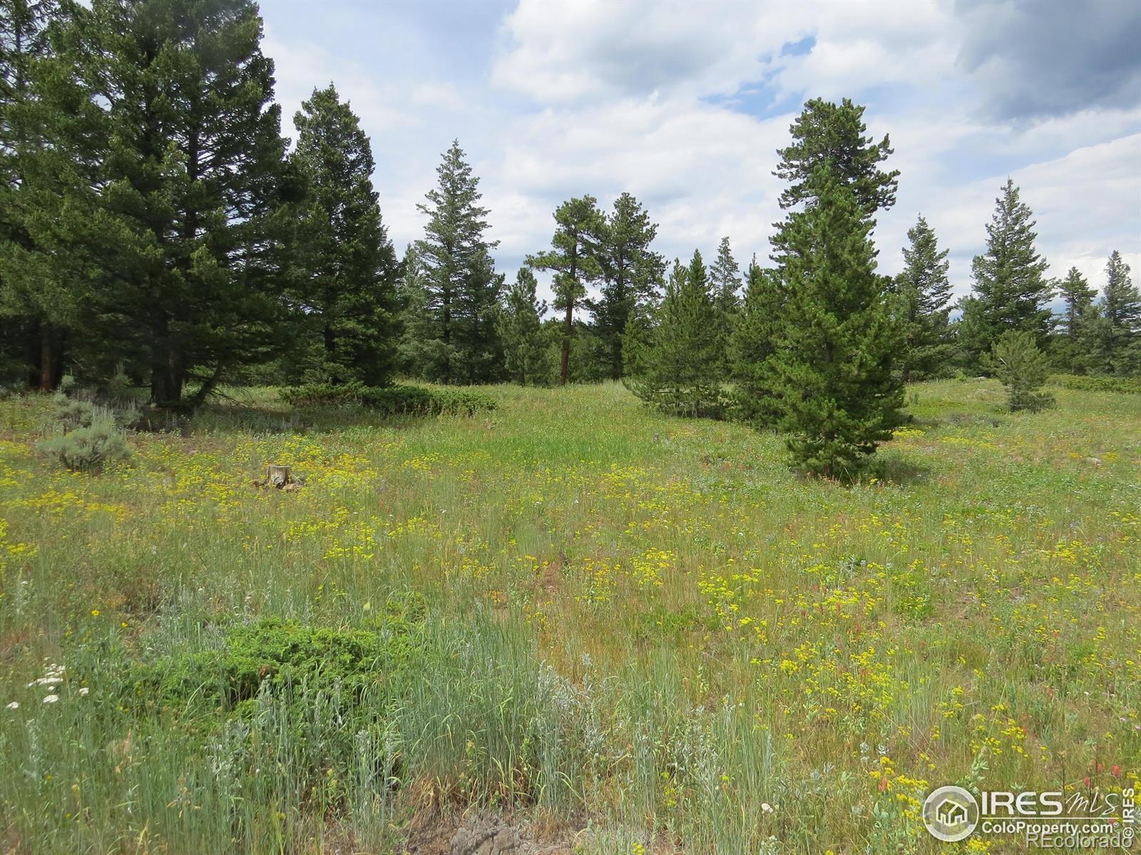 0 Peak To Peak Hw, Nederland, CO 80466