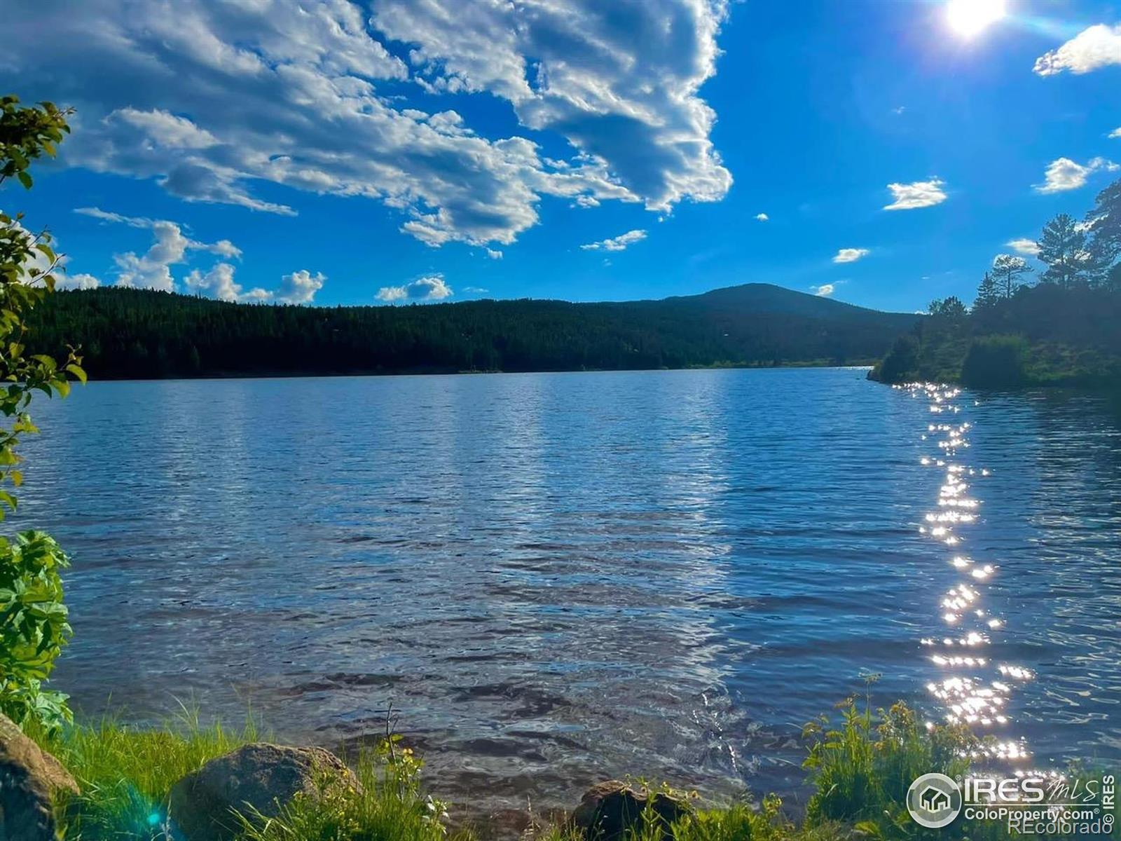 28 Nonami Ct, Red Feather Lakes, CO 80545