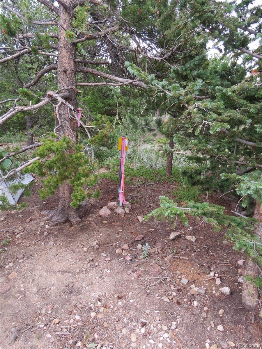 Peak To Peak Hwy, Nederland, CO 80466