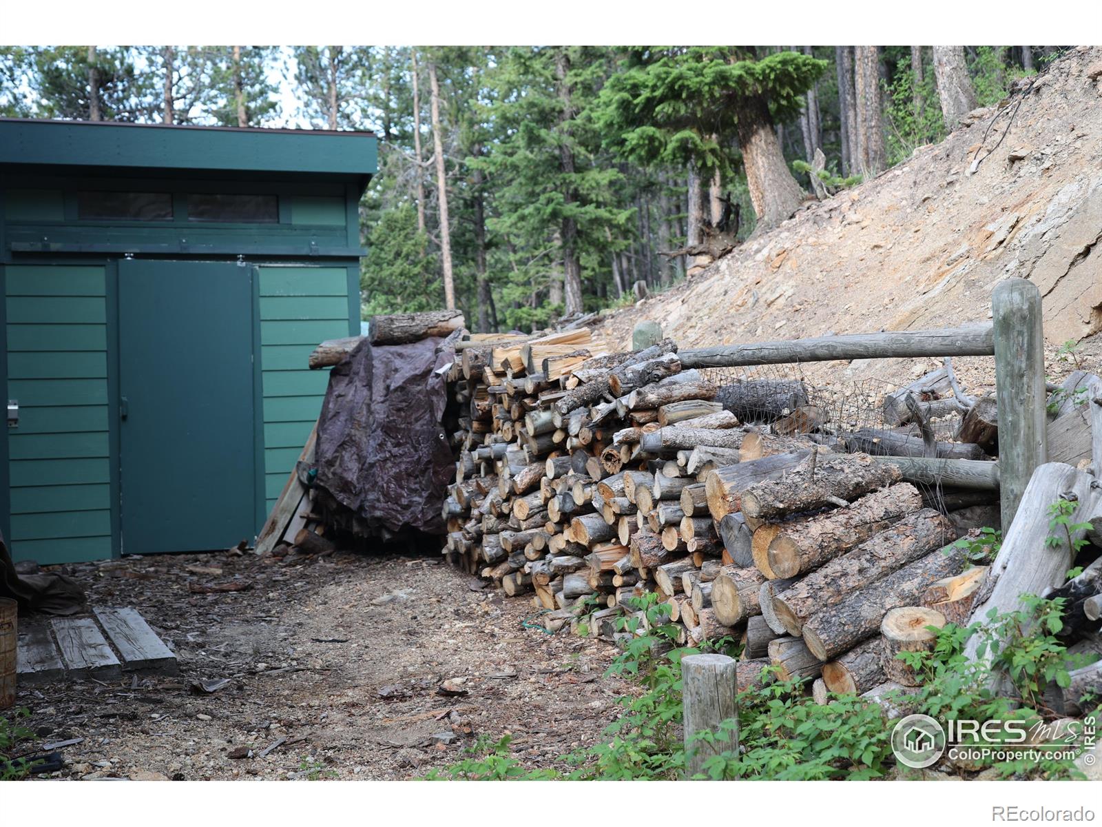 254 Arrowood Dr, Lyons, CO 80540