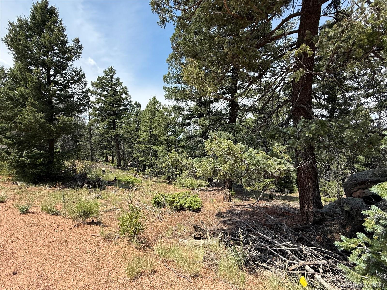 3546 N Mountain Estates Rd, Florissant, CO 80816