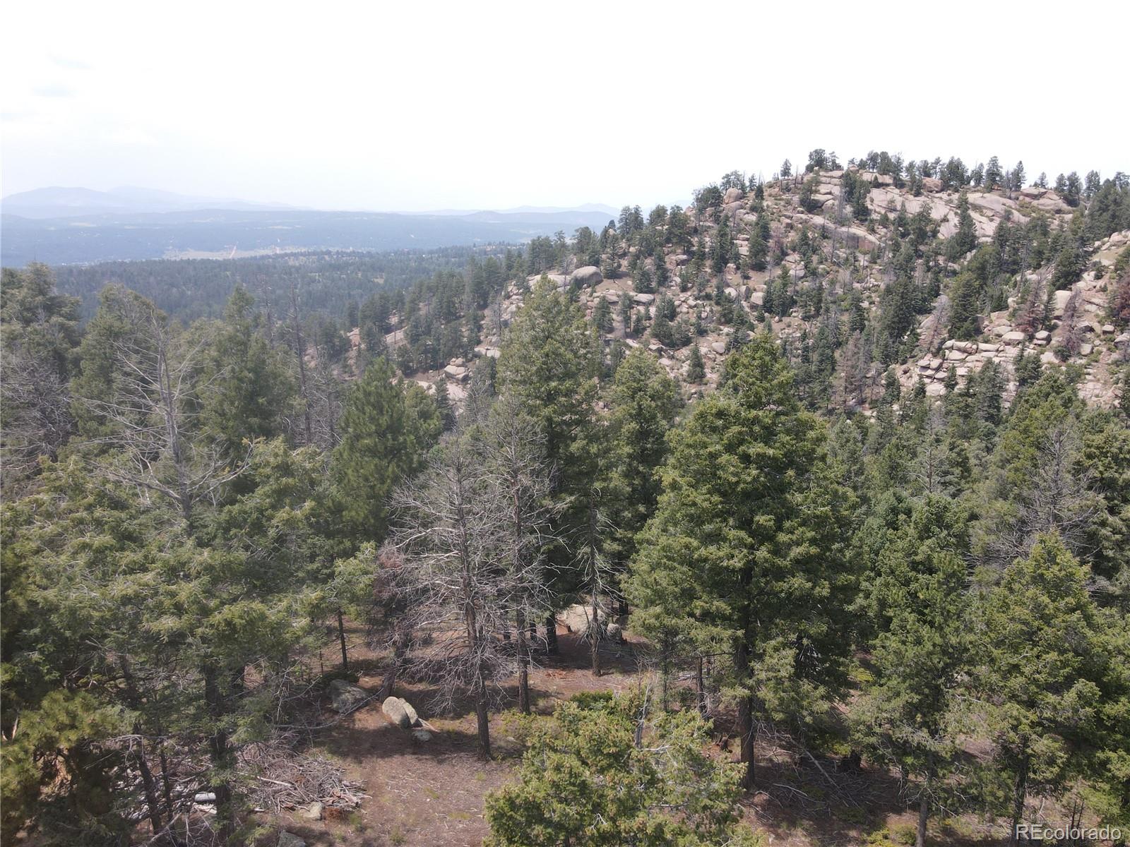 3546 N Mountain Estates Rd, Florissant, CO 80816
