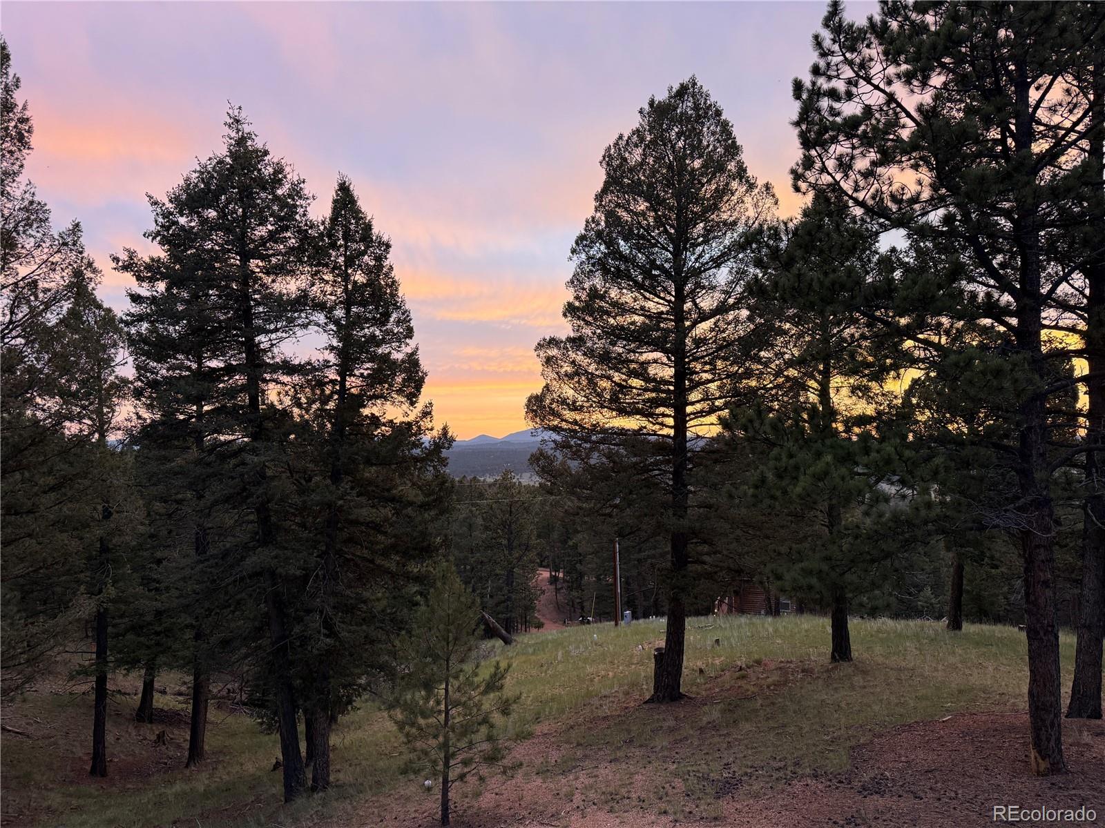 215 Southpark Rd, Florissant, CO 80816