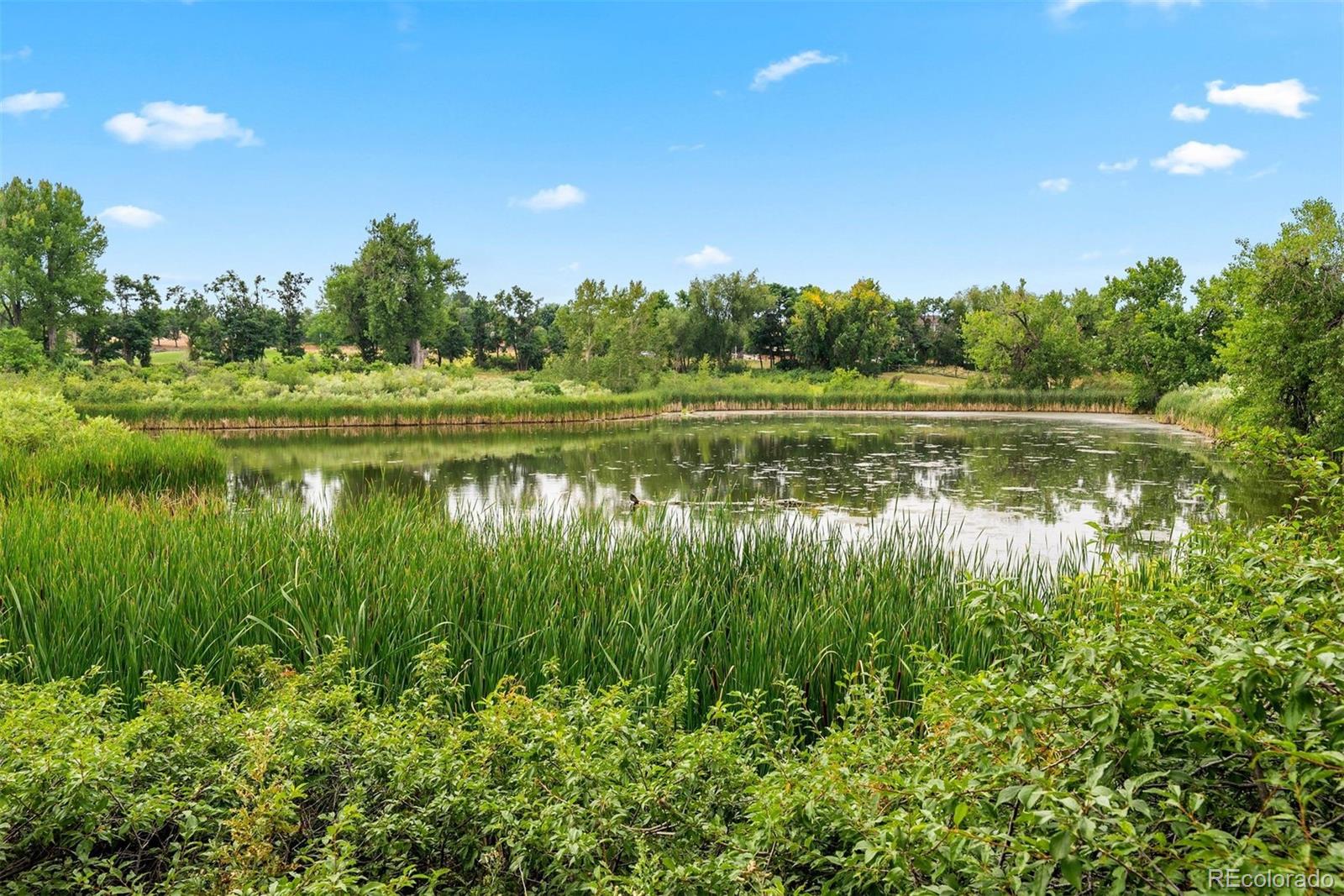 4607 W 105th Way, Westminster, CO 80031