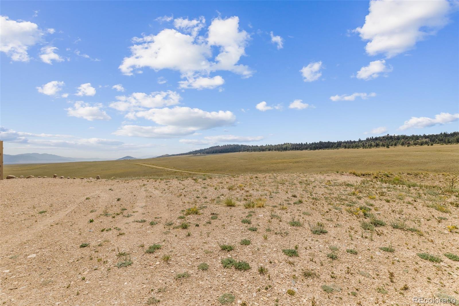 779 S Margaret Pl, Hartsel, CO 80449