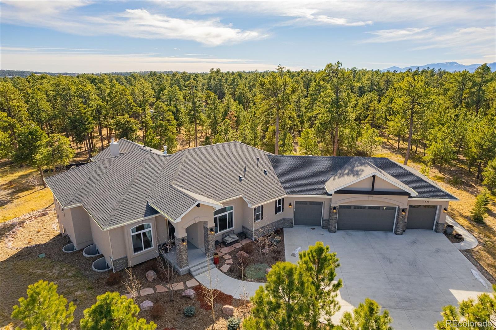 1325 Boldmere Ct, Monument, CO 80132