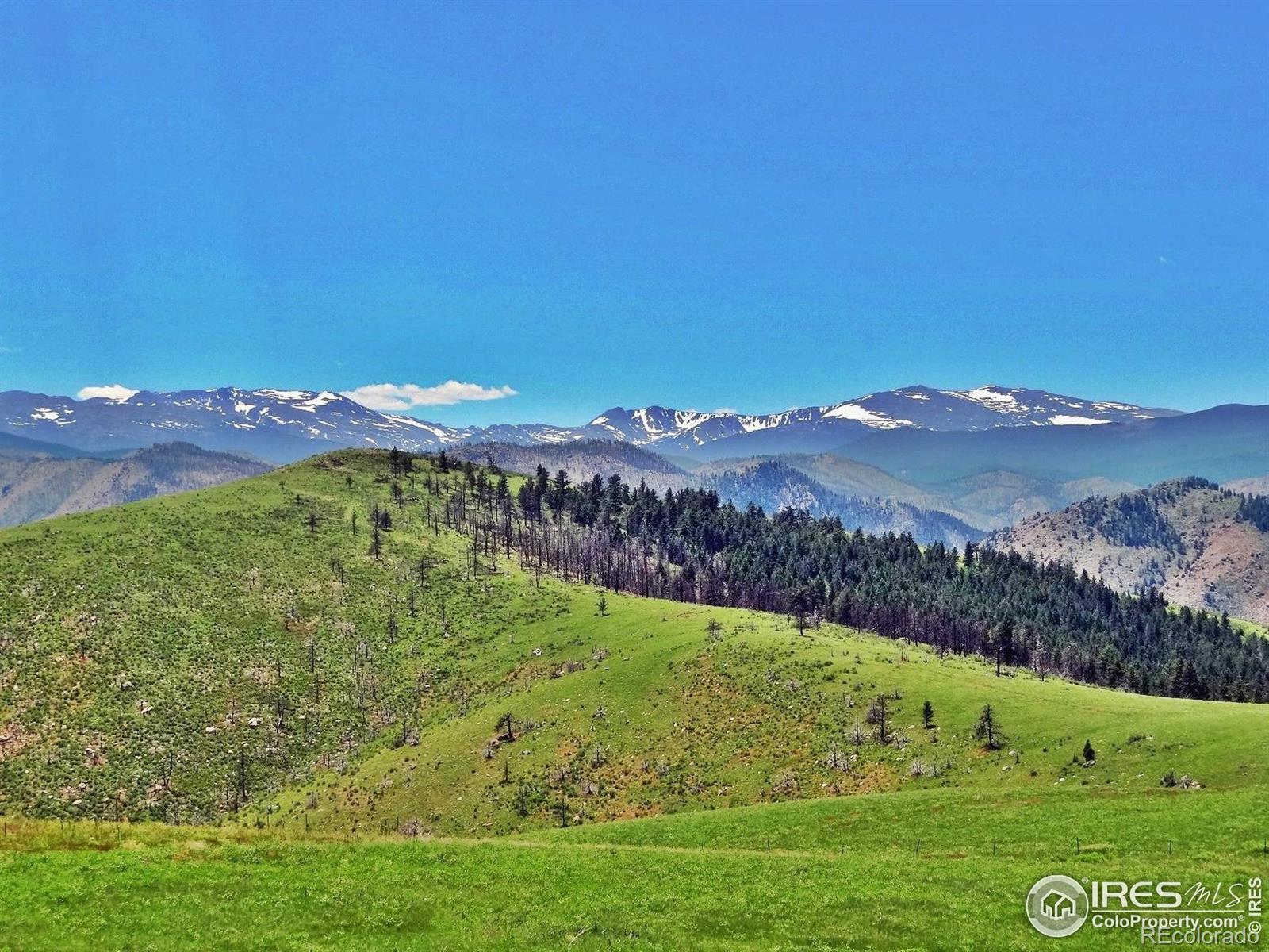 7 Meadow Mountain Dr, Livermore, CO 80536