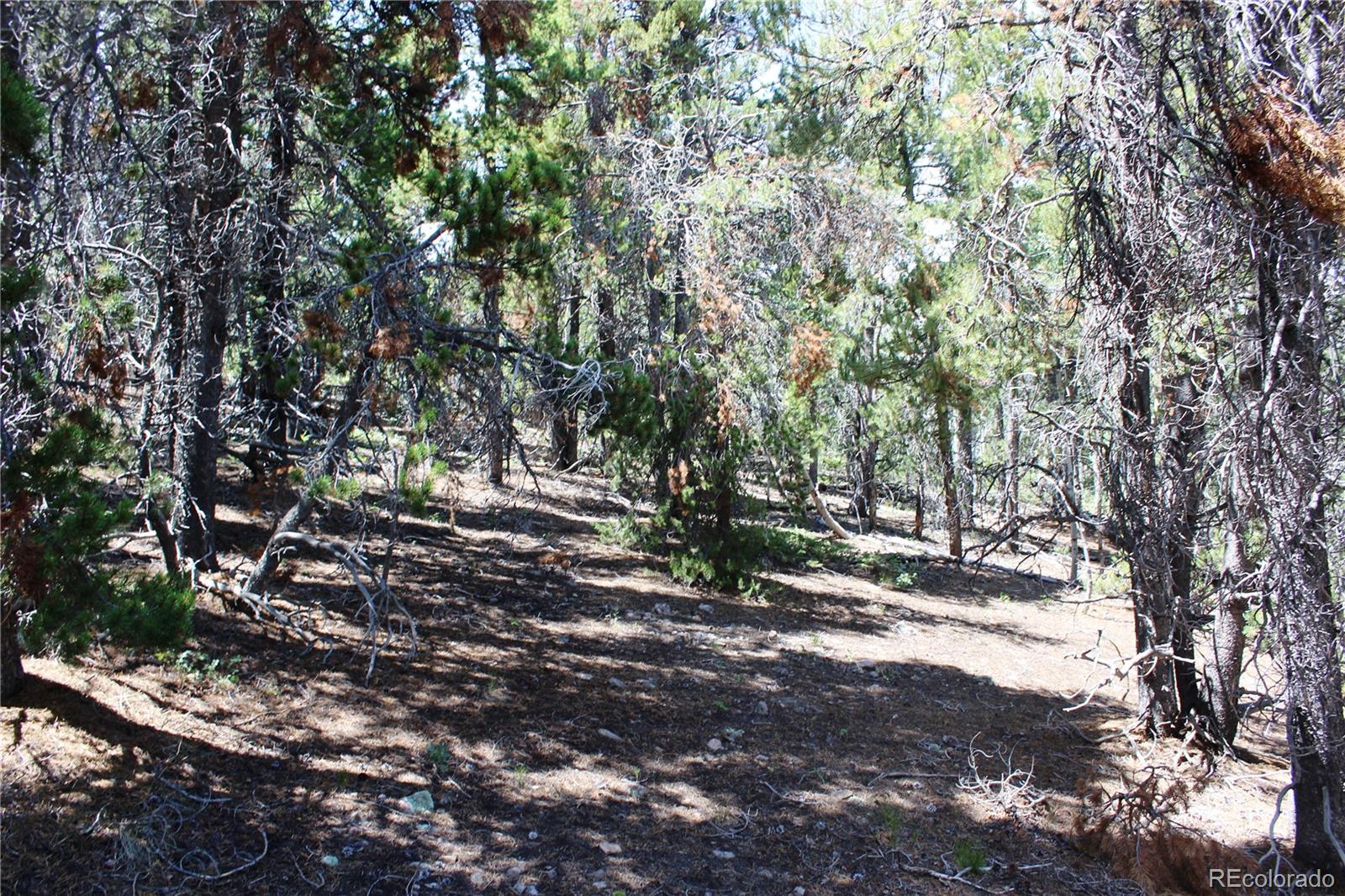 00 Fs 410 1a Lot 334, 338, Black Hawk, CO 80422