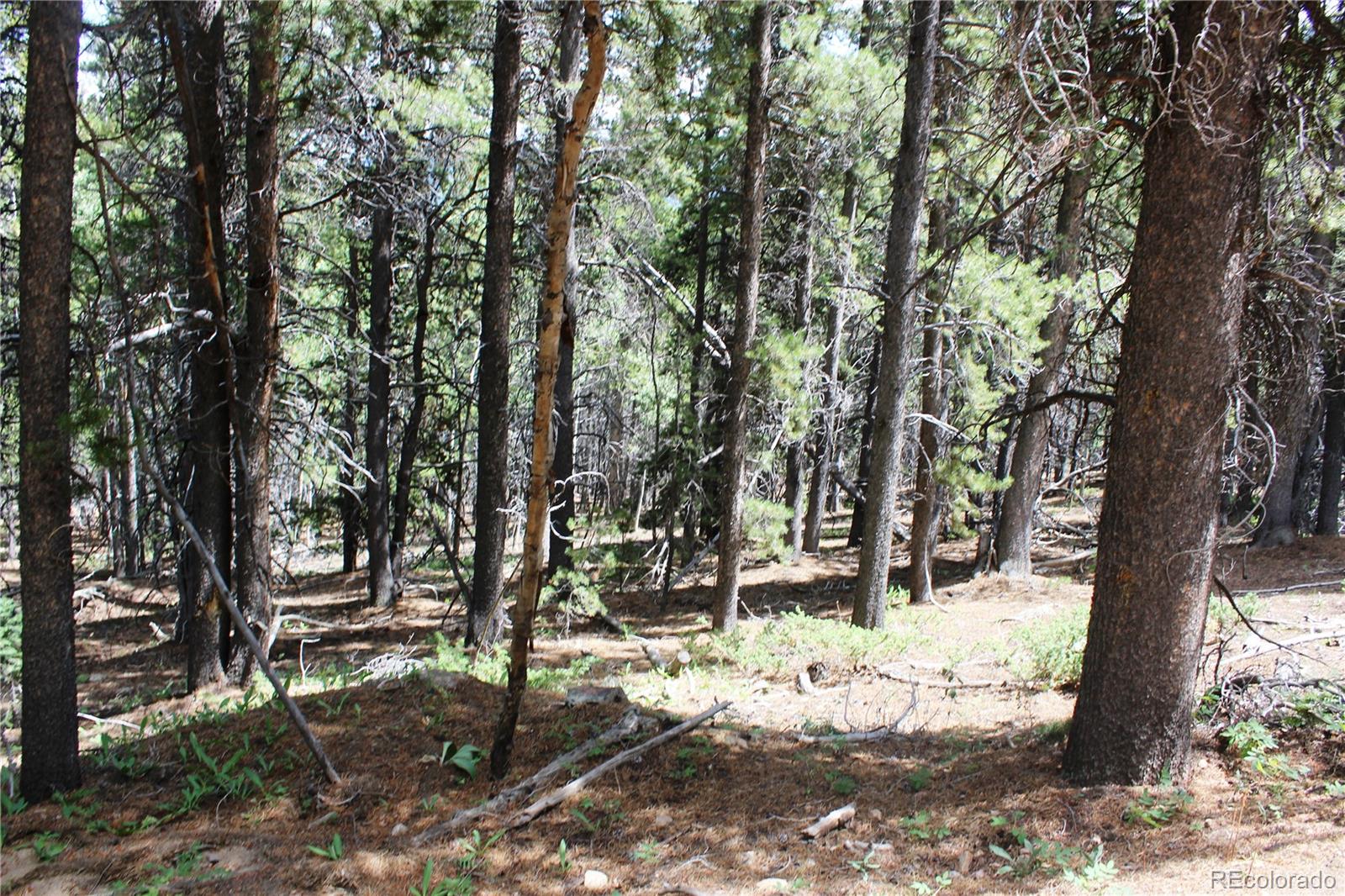 00 Fs 410 1a Lot 334, 338, Black Hawk, CO 80422