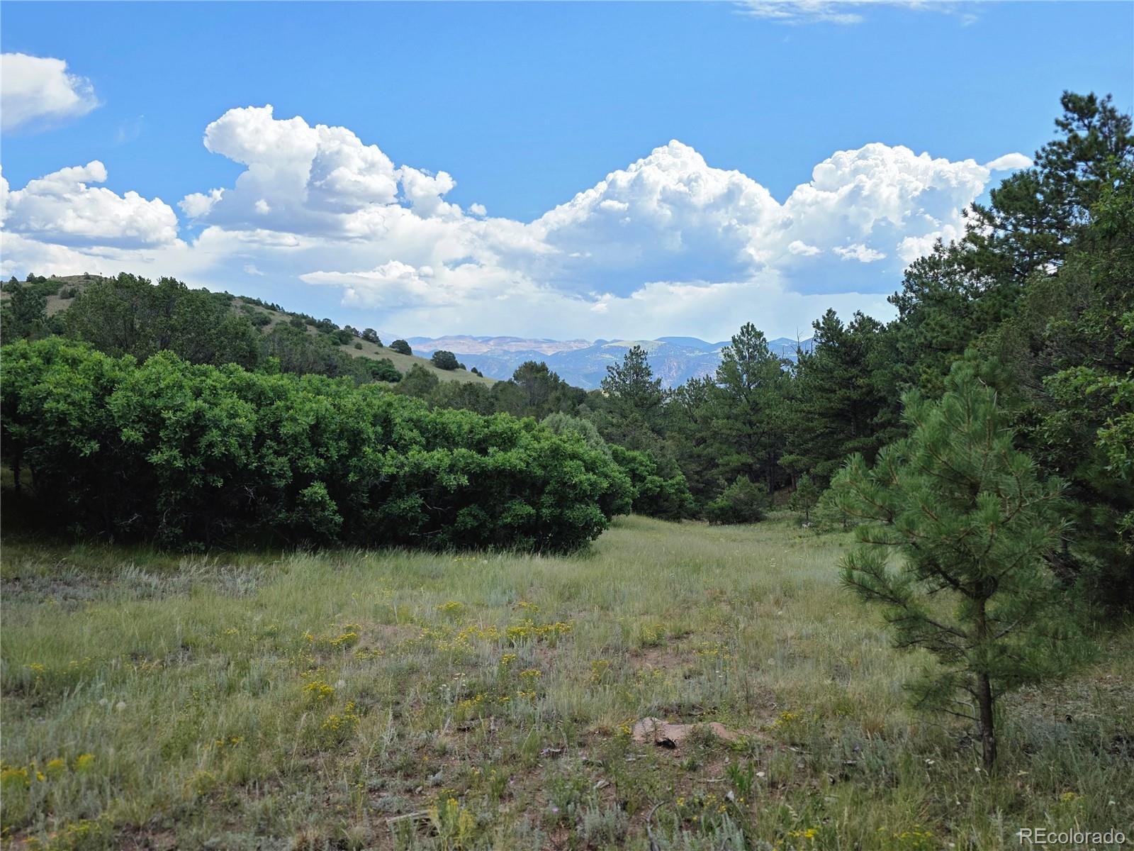 444 Silver Bear Trl, Canon City, CO 81212