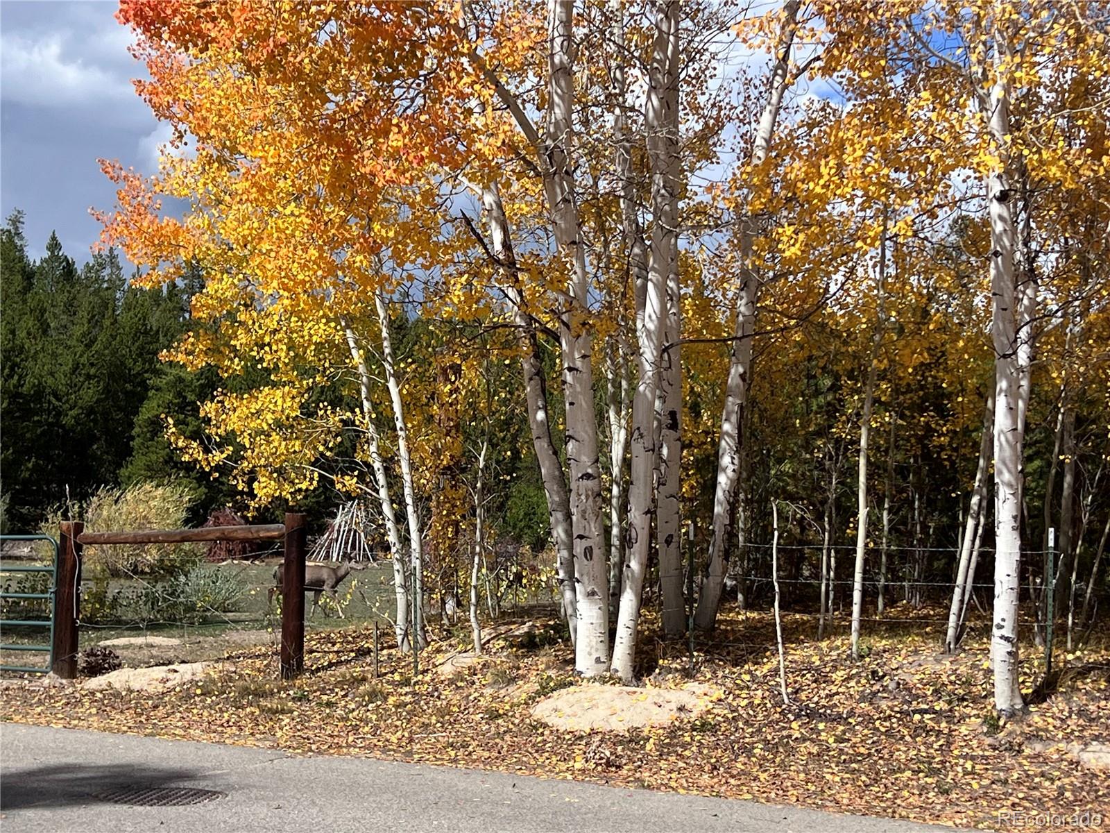 604 Marina Dr #28, Grand Lake, CO 80447
