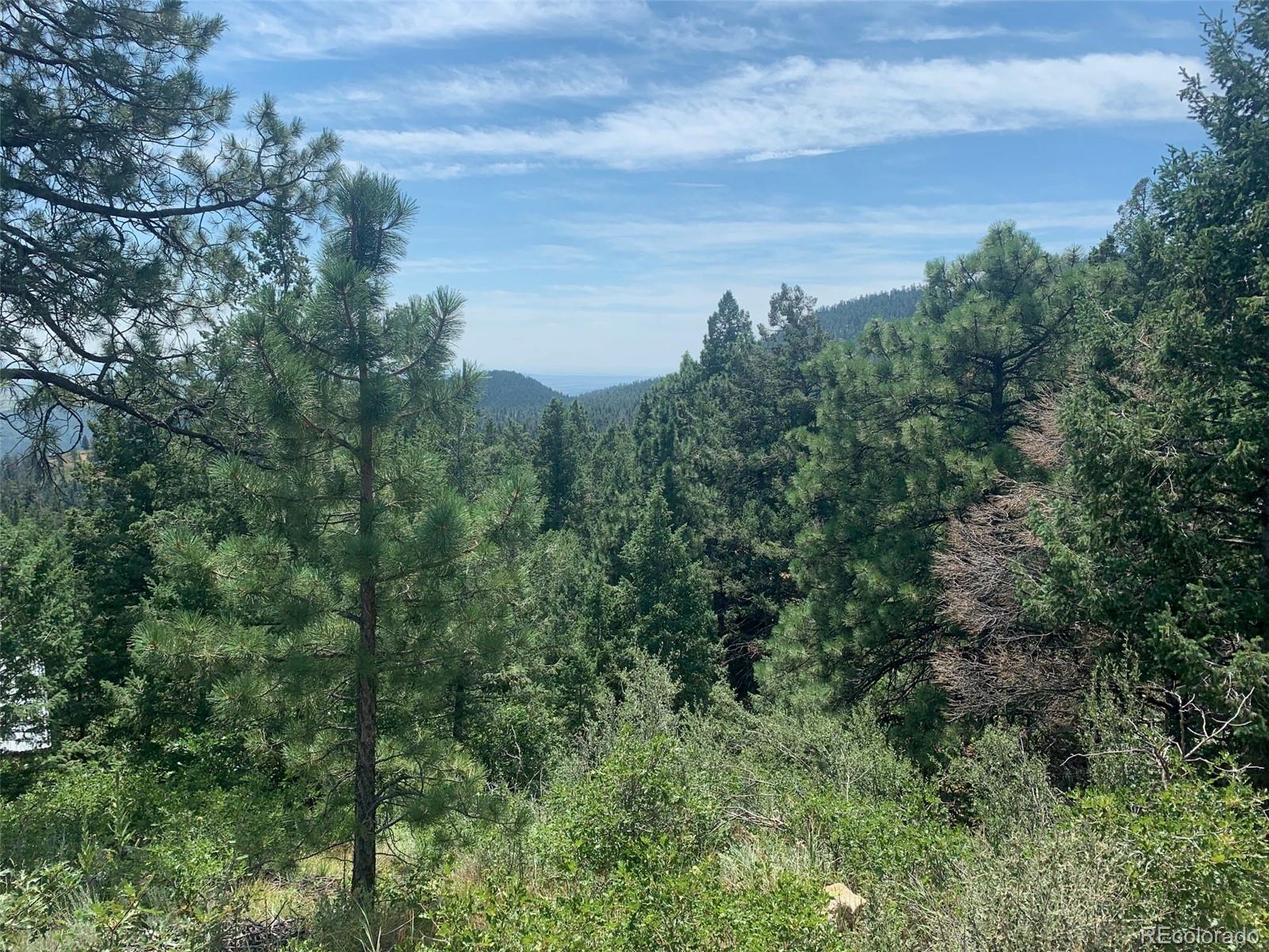 3435 Little Turkey Creek Rd, Colorado Springs, CO 80926