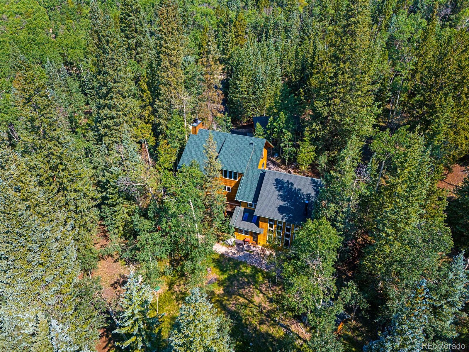 1086 County Road 10, Alma, CO 80420