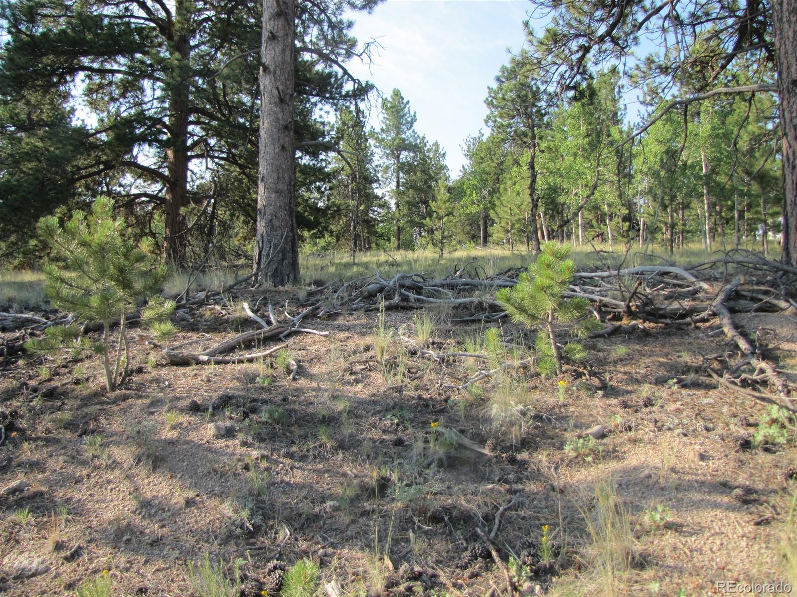 9736 Ranch Rd, Hartsel, CO 80449