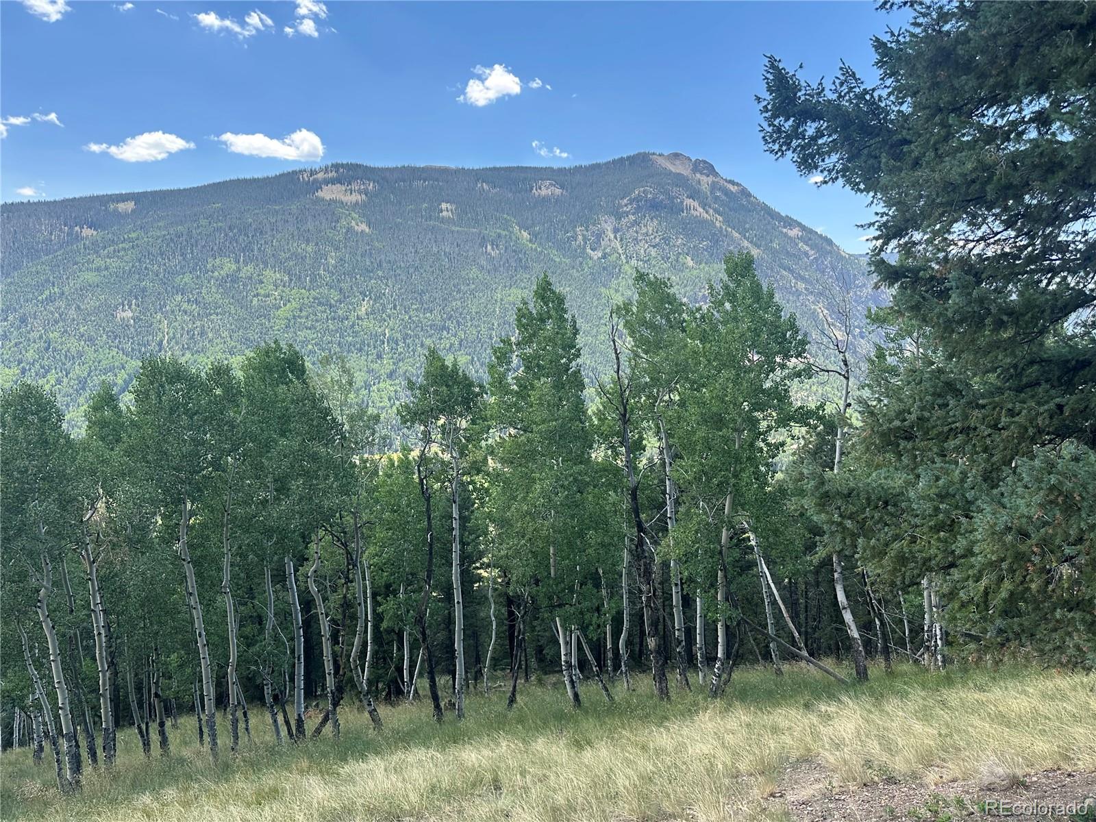 Calkins, Jasper, CO 81132