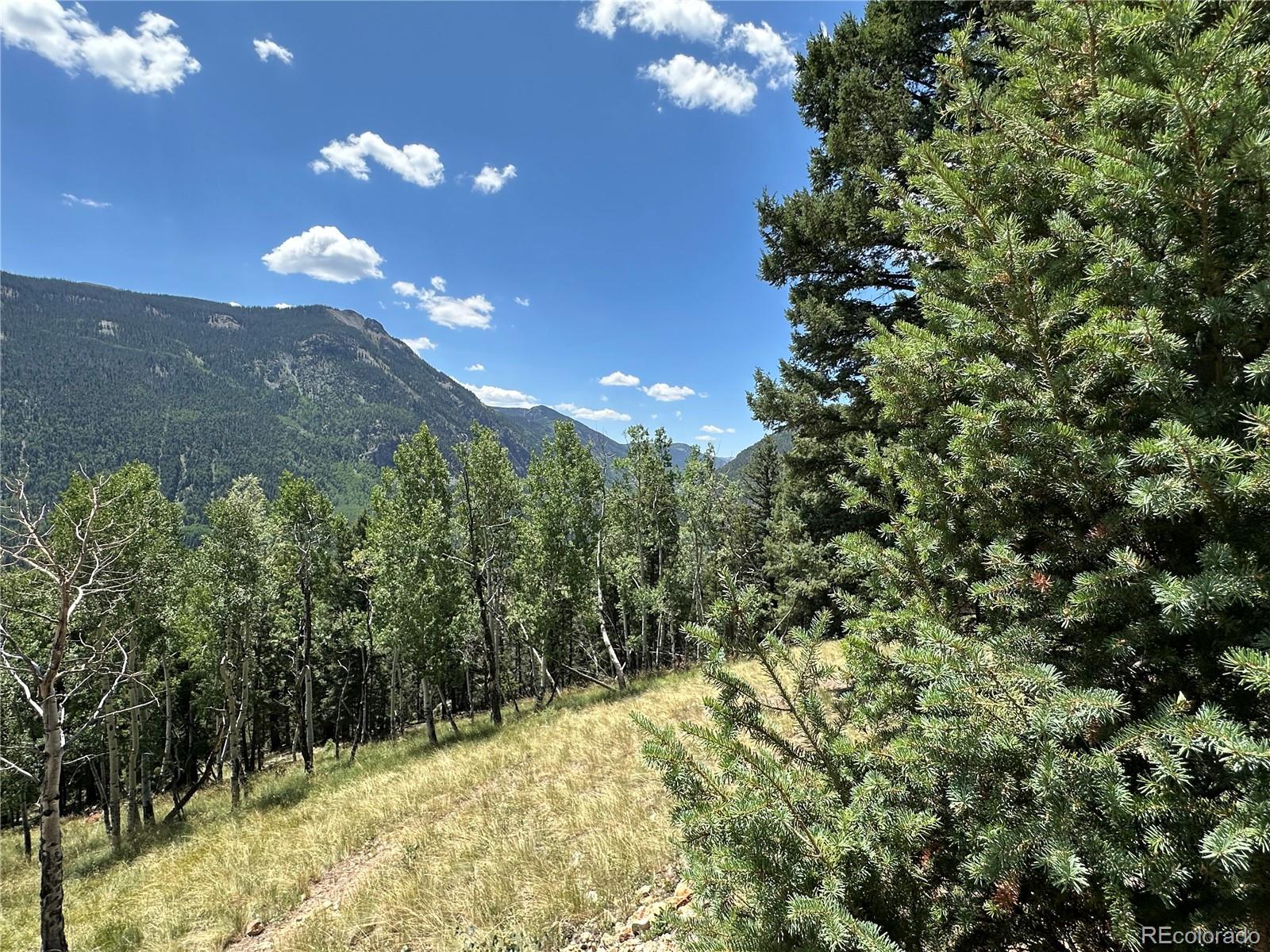 Calkins, Jasper, CO 81132