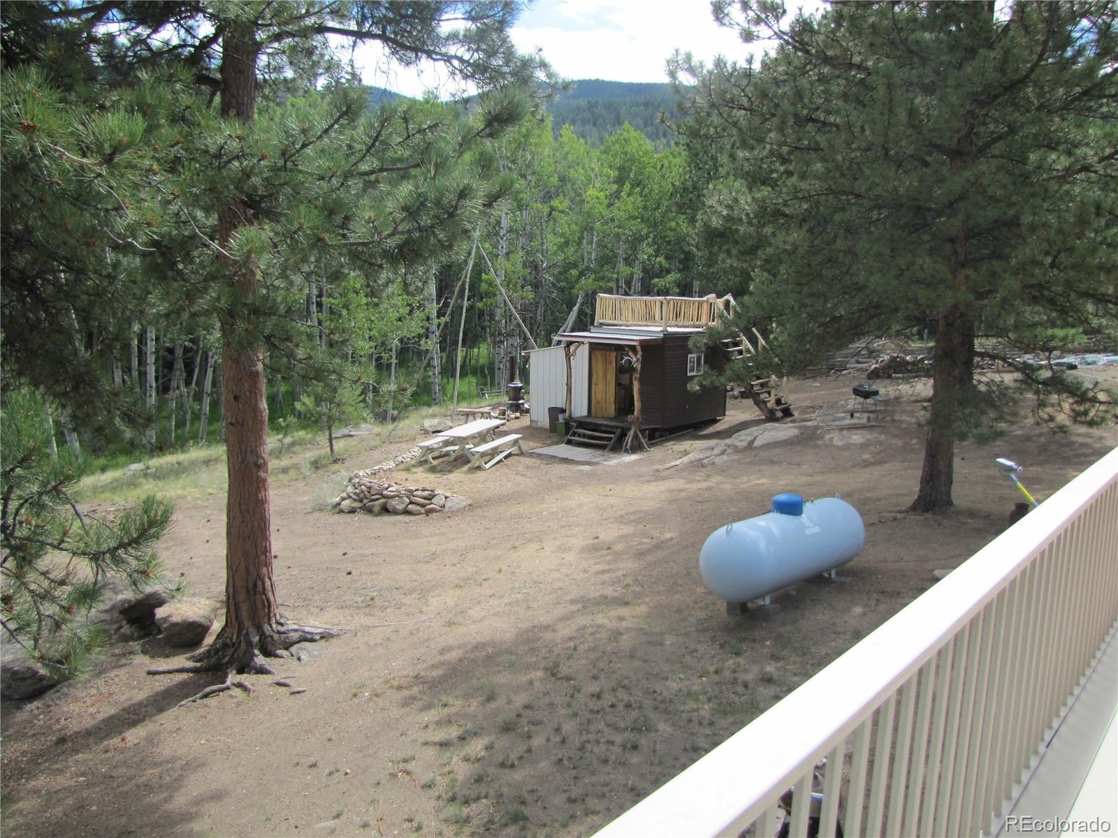 1087 Pulver Rd, Lake George, CO 80827