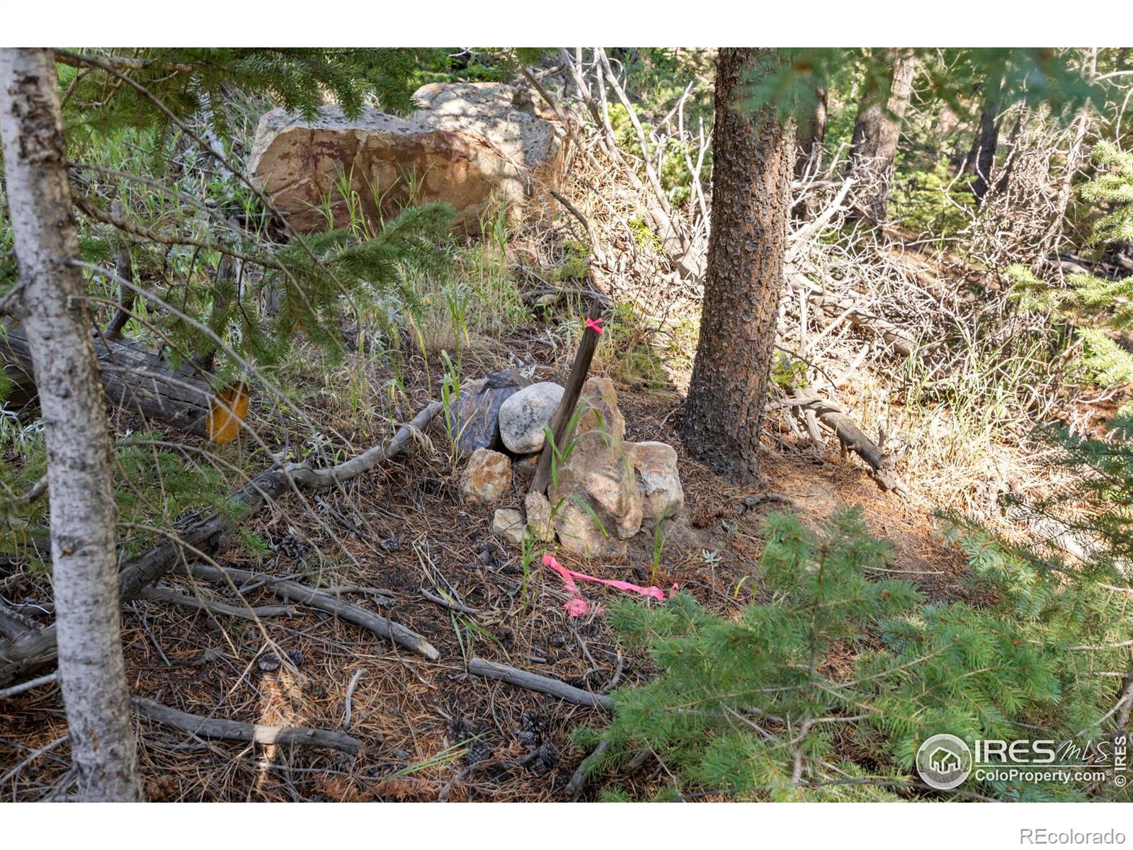 134 Hurricane Hill Dr, Nederland, CO 80466