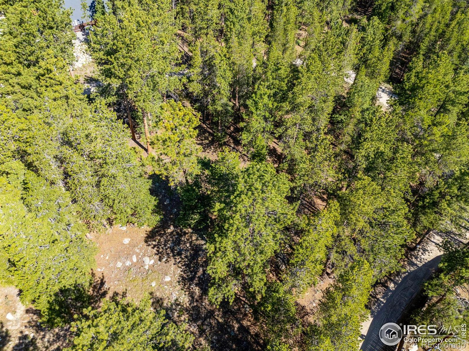 705 Mcmillen Way, Nederland, CO 80466