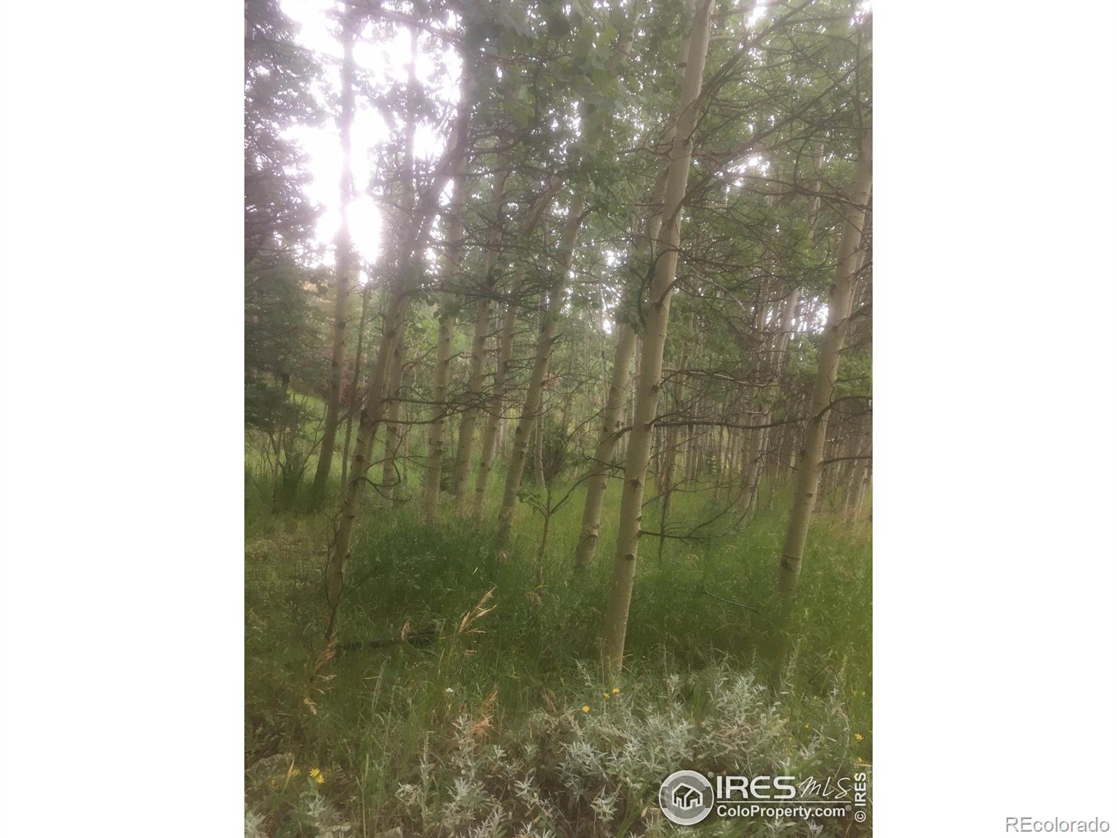 1115 County Road 100, Ward, CO 80481