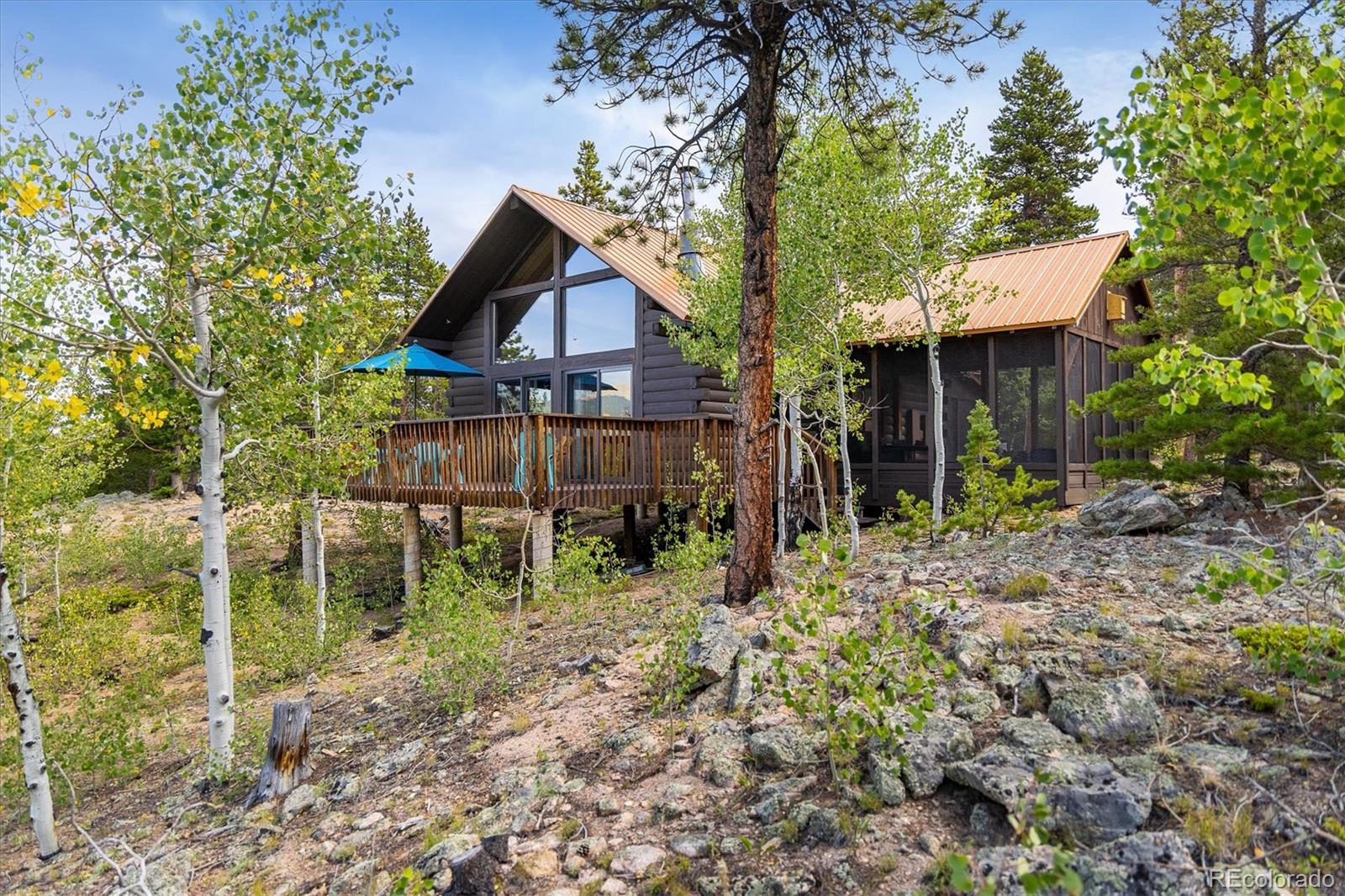 452 Pine Cone Dr, Ward, CO 80481