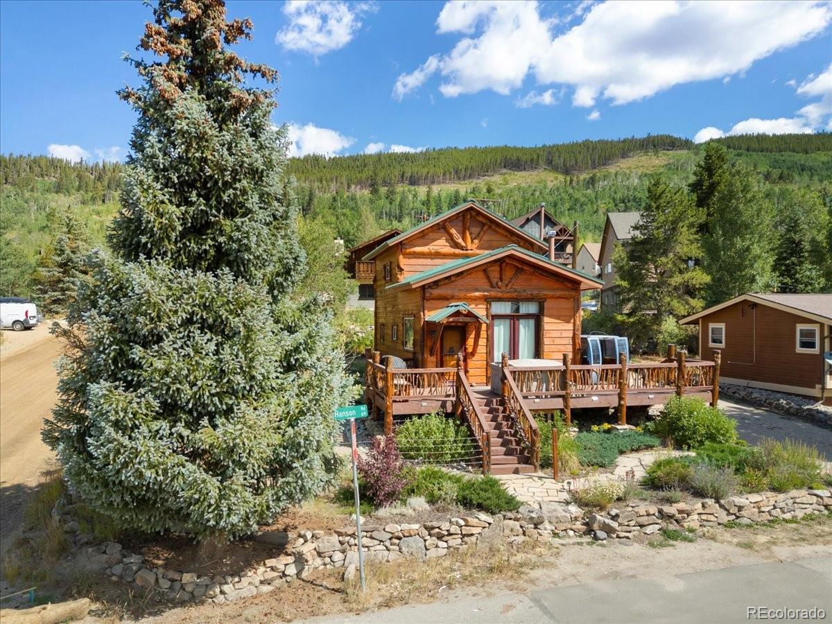 19 E Hanson Rd, Dillon, CO 80435