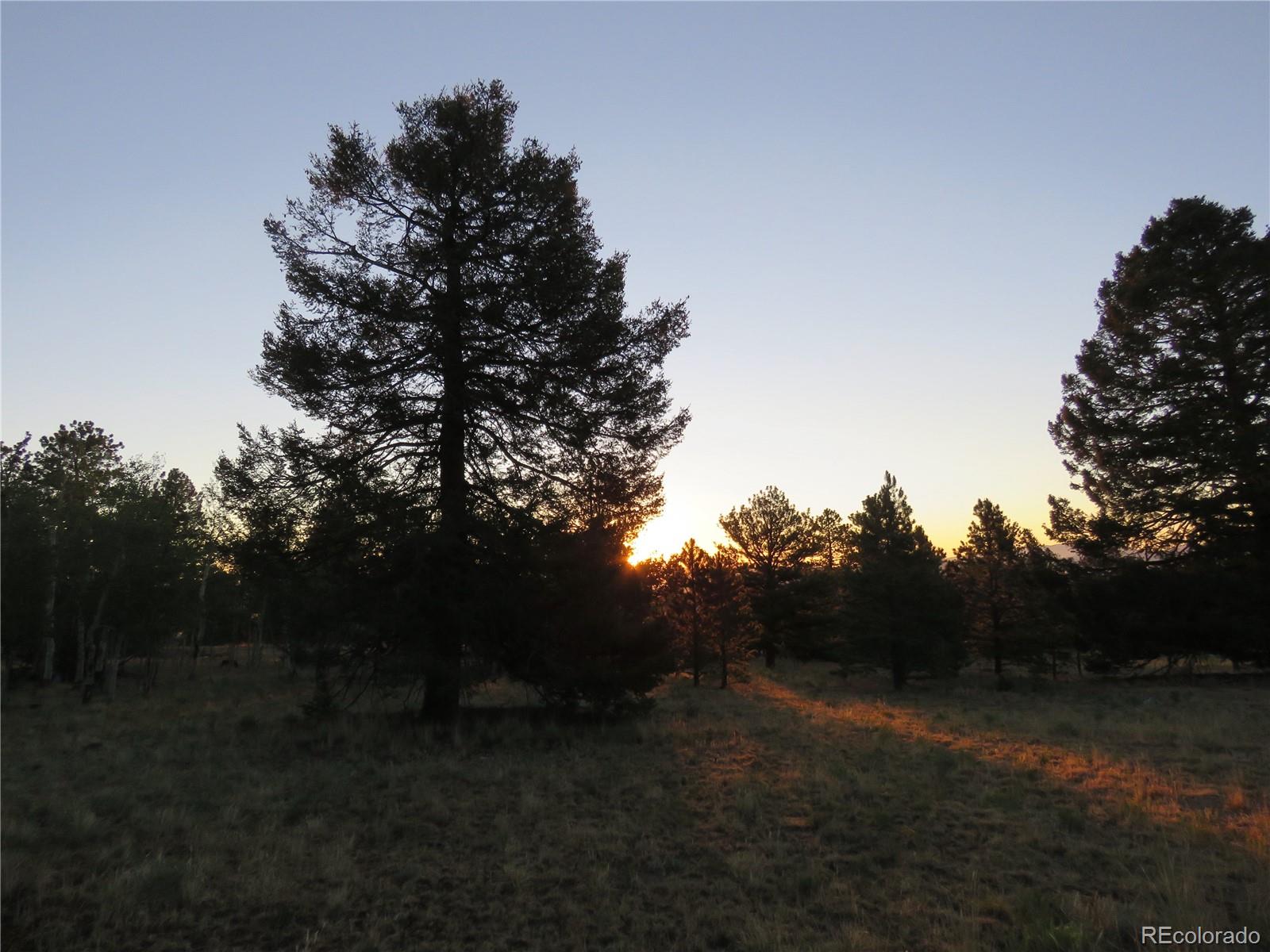9389 Ranch Rd, Hartsel, CO 80449
