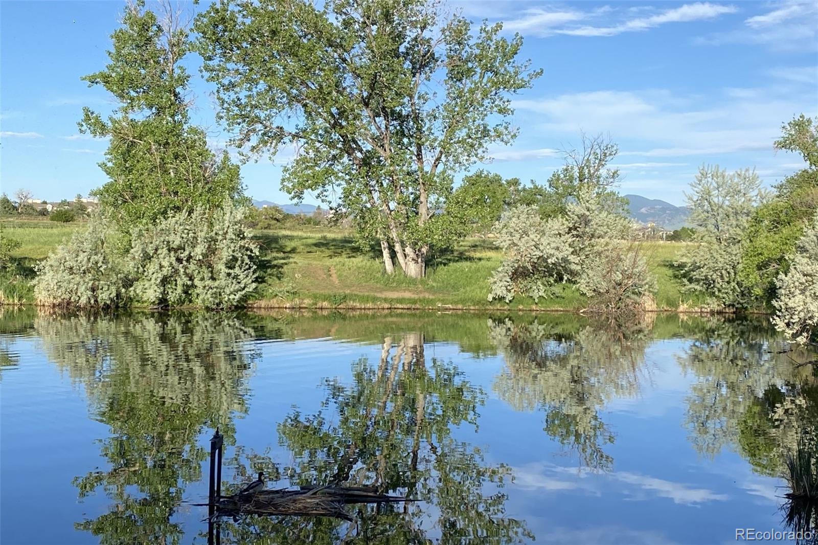 5584 W 96th Pl, Westminster, CO 80020