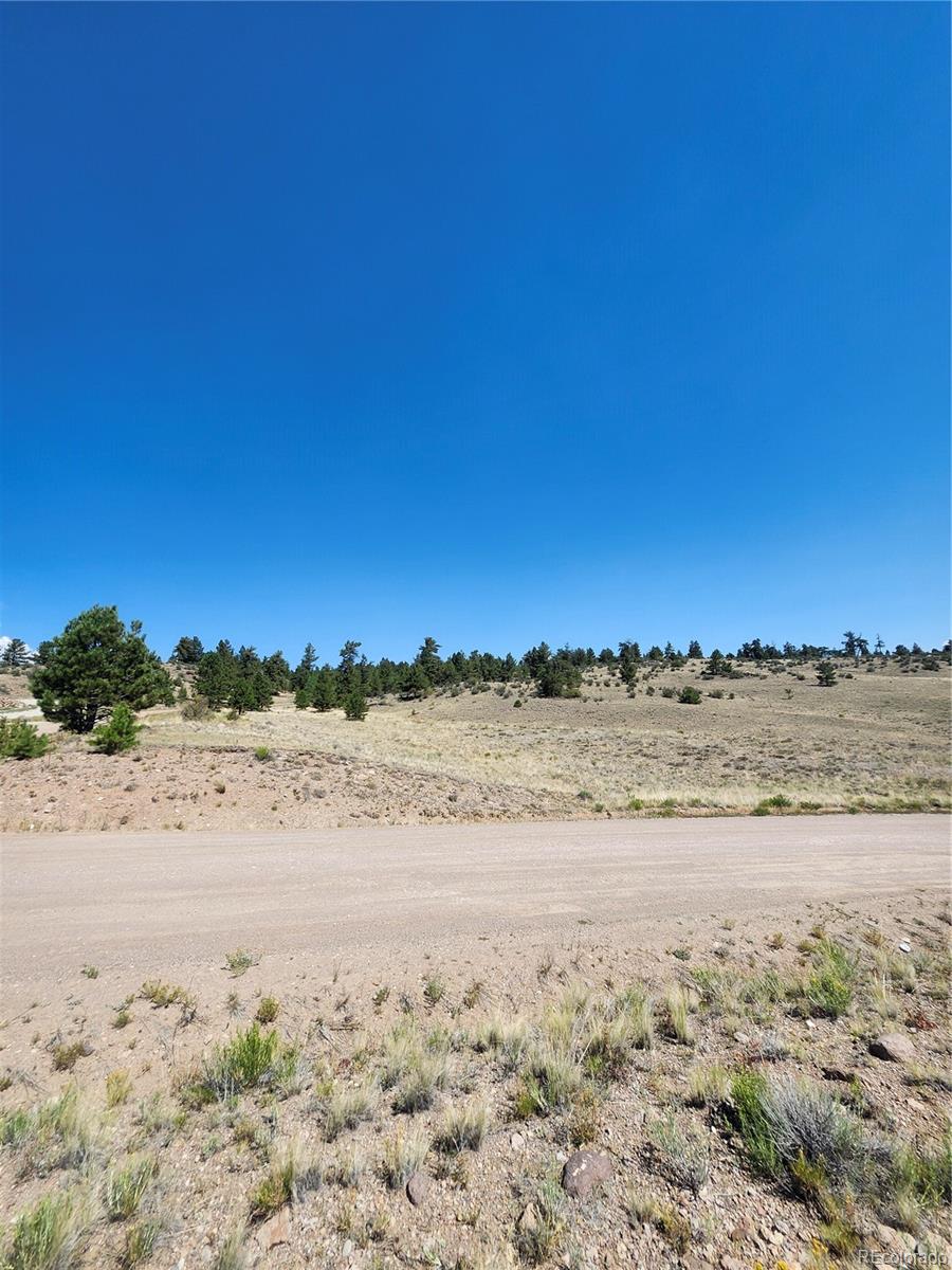 64 Bandana Rd, Hartsel, CO 80449