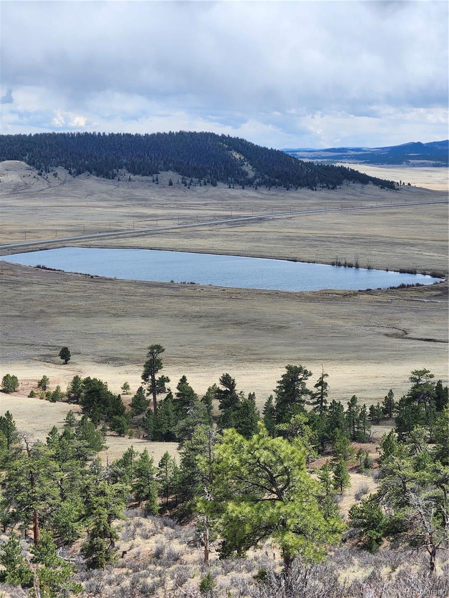 64 Bandana Rd, Hartsel, CO 80449