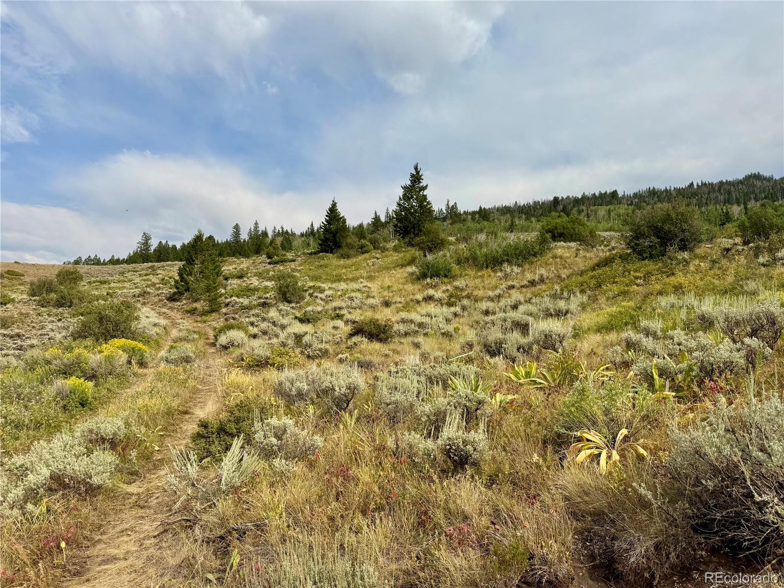 76 Gcr 1301, Kremmling, CO 80459