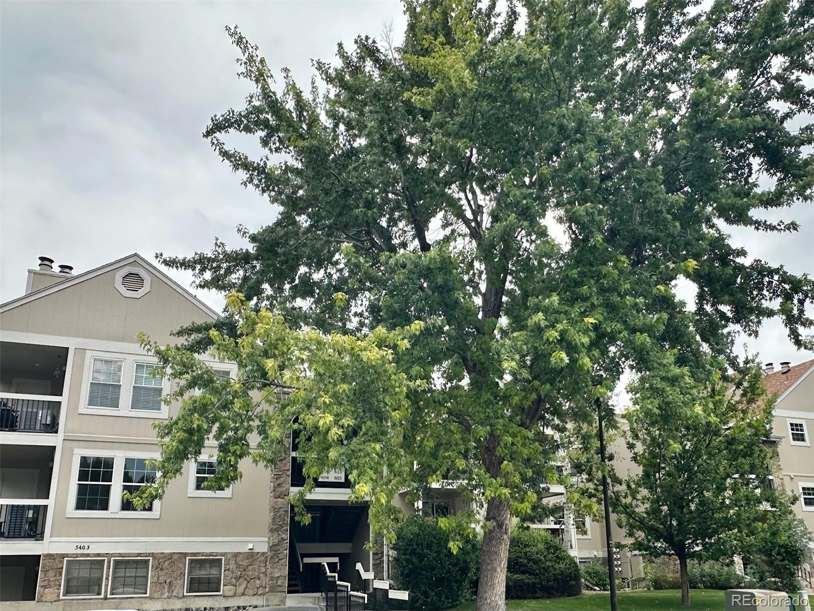 5403 W 76th Ave, Arvada, CO 80003