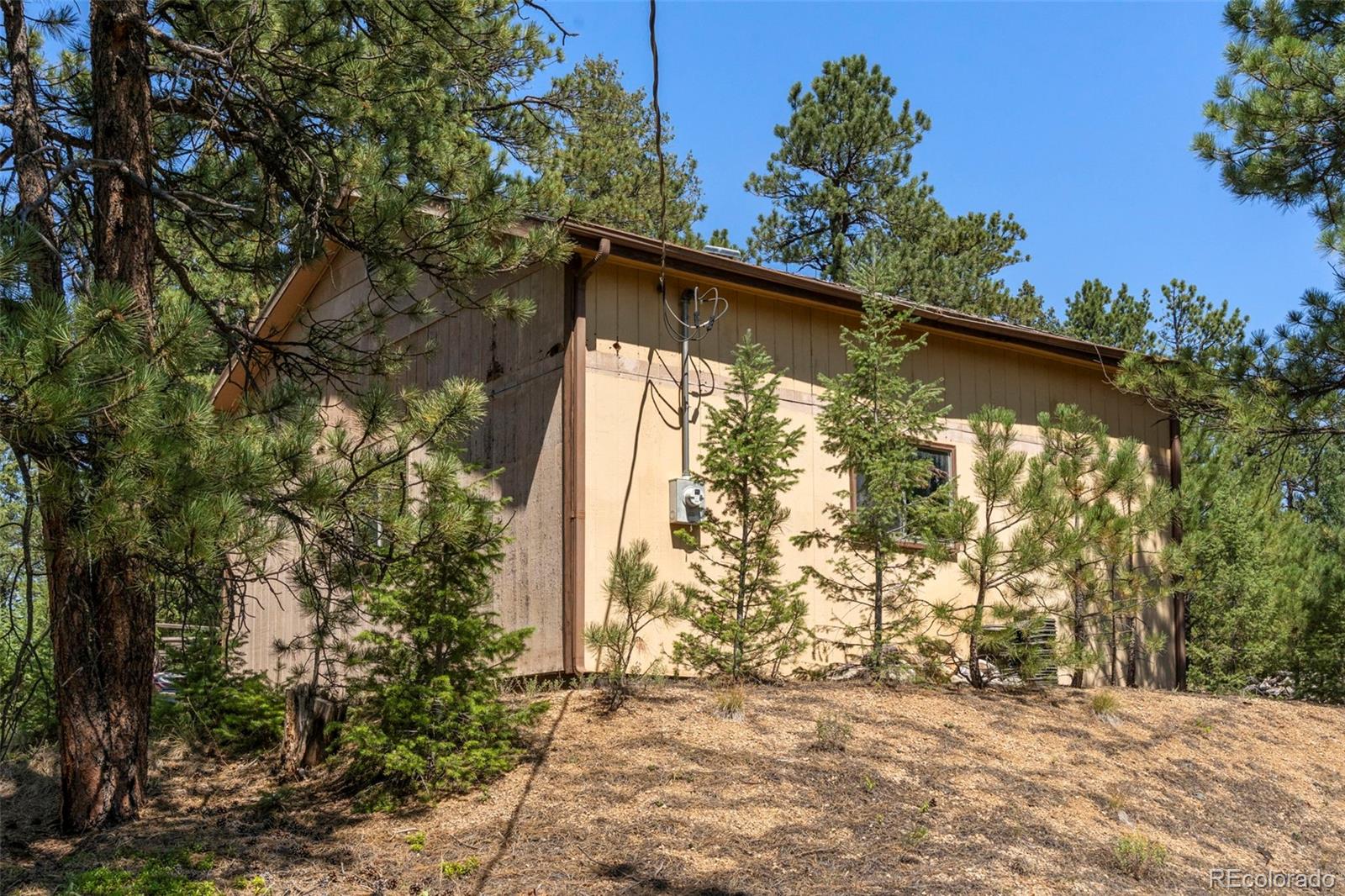 12511 Tina Ln, Sedalia, CO 80135