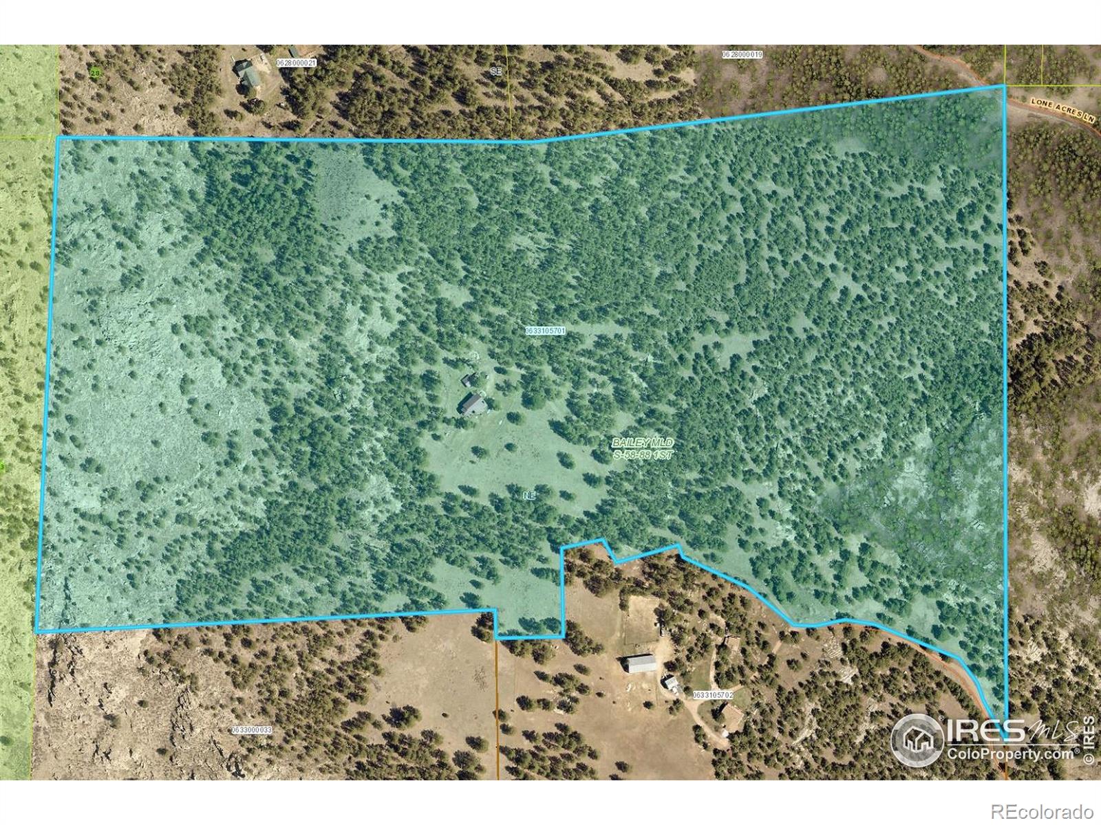 10297 Forest View Dr, Loveland, CO 80538