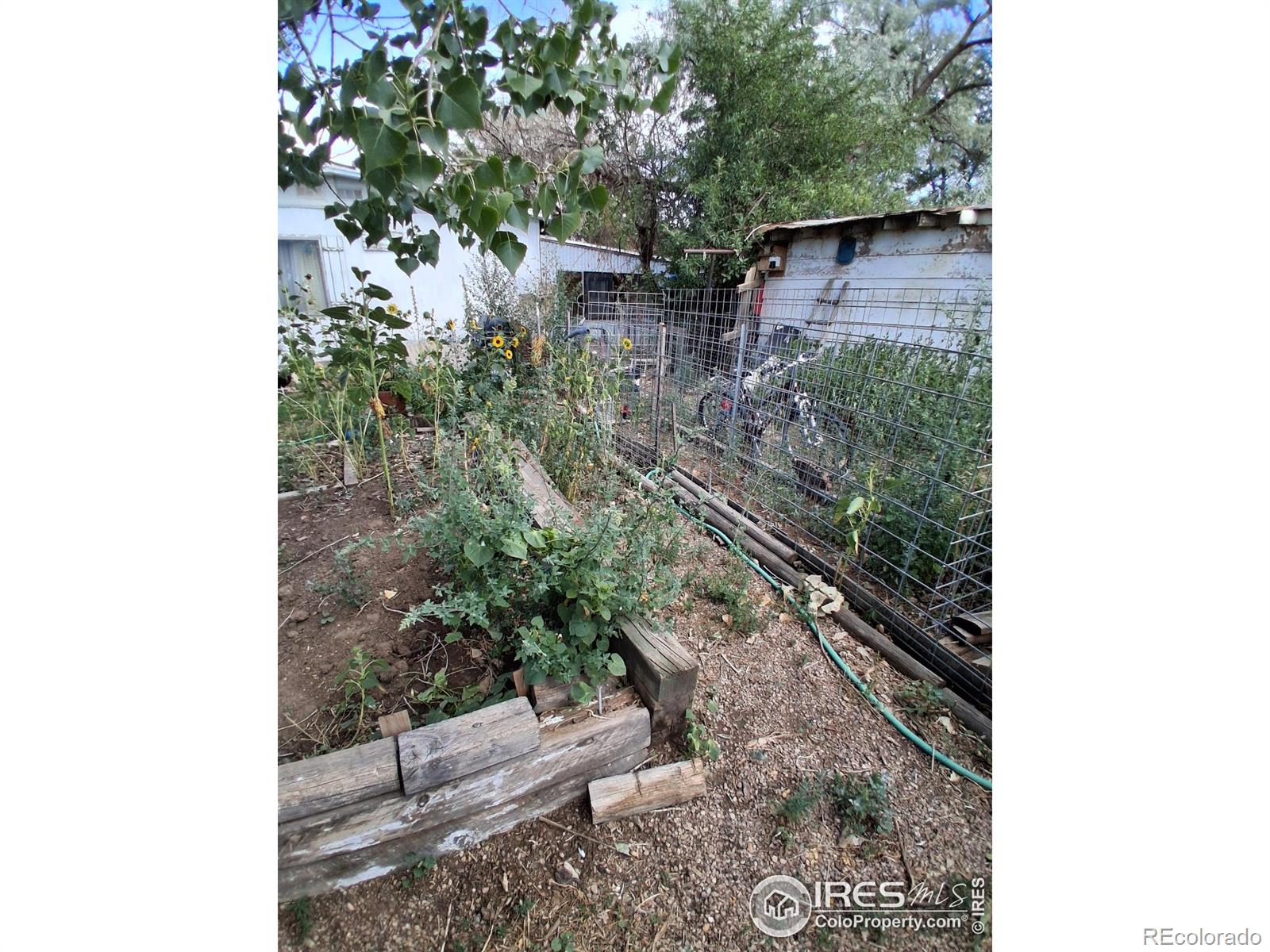 215 Glen Ayre St, Dacono, CO 80514