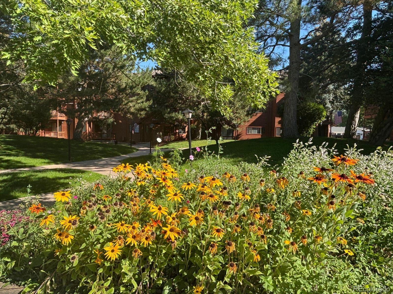 2440 Palmer Park Blvd #I1, Colorado Springs, CO 80909